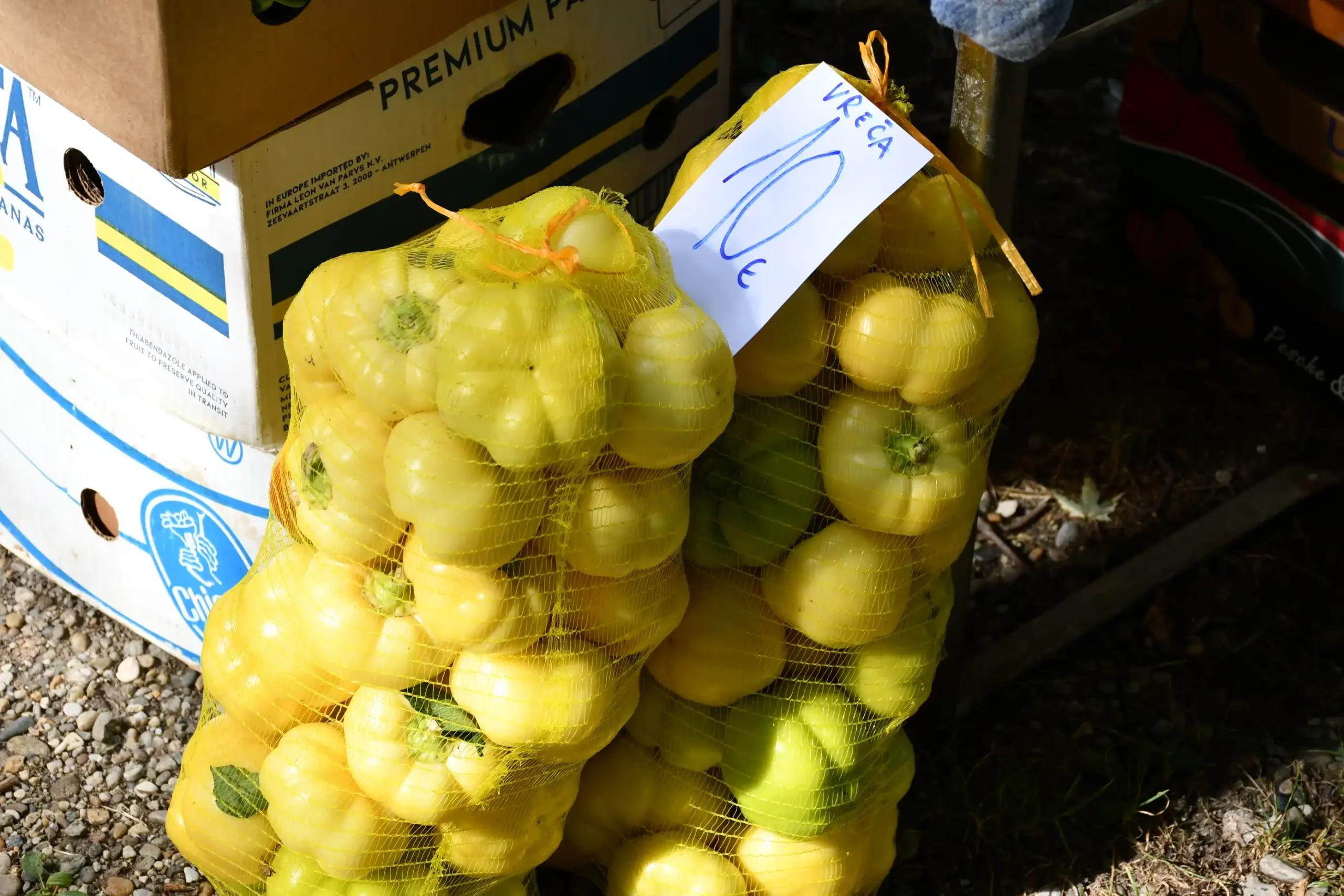 Čakovečki sajam 24 (49)