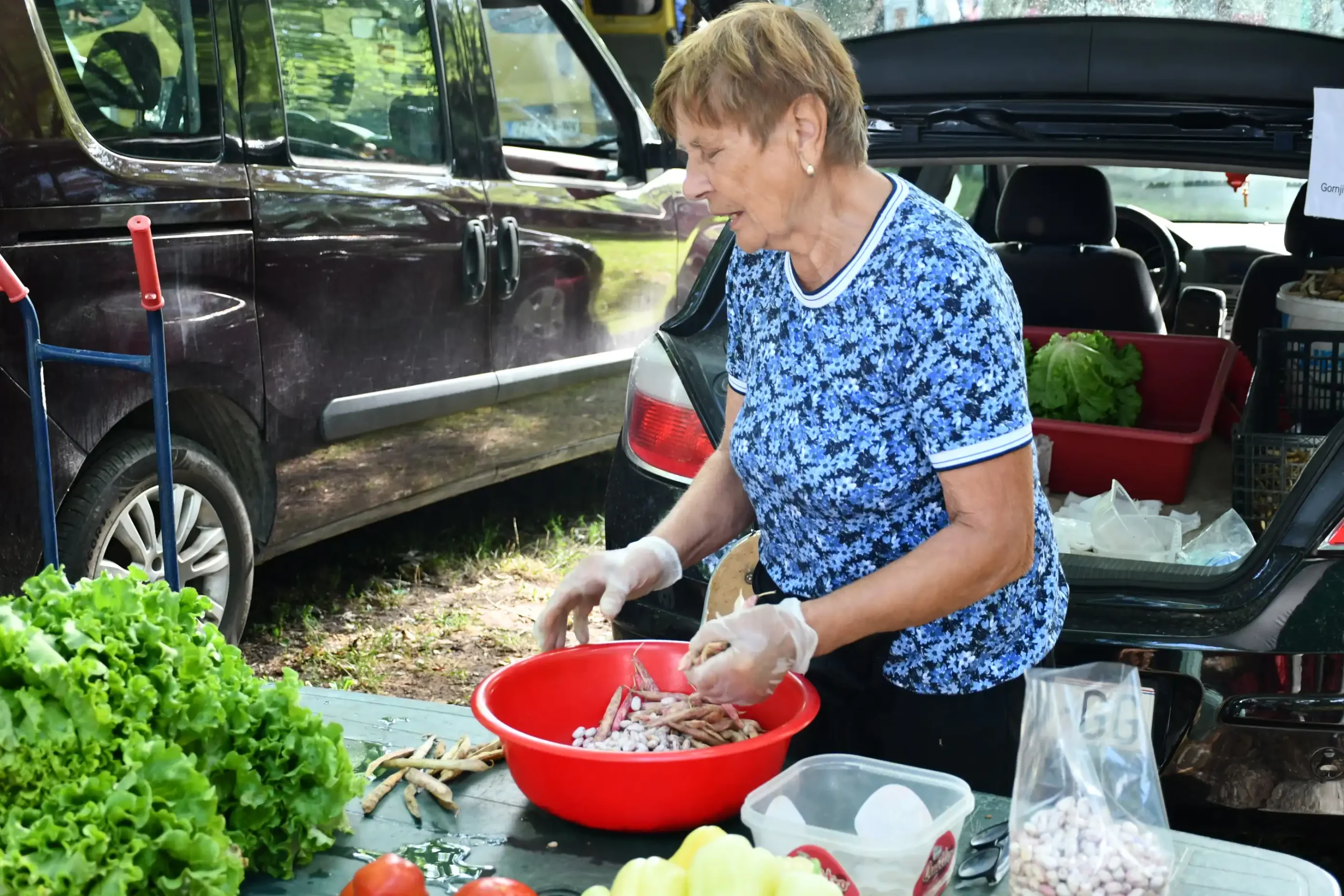 Čakovečki sajam 24 (59)