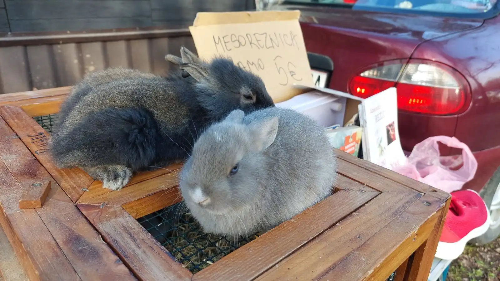 Čakovečki sajam (26) Čakovečki sajam (26)