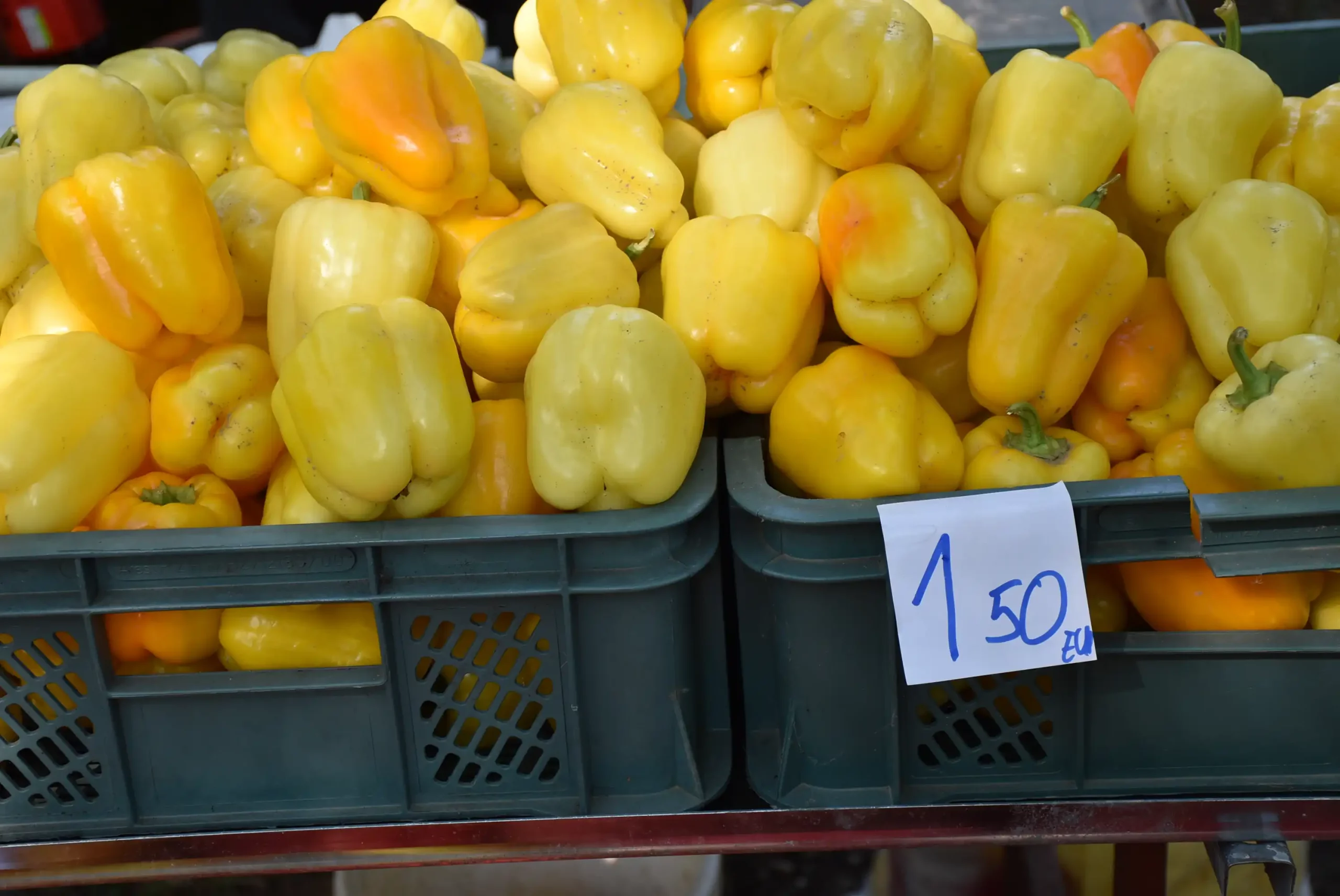 Čakovečki sajam 28. kolovoz (27) Čakovečki sajam 28. kolovoz (27)