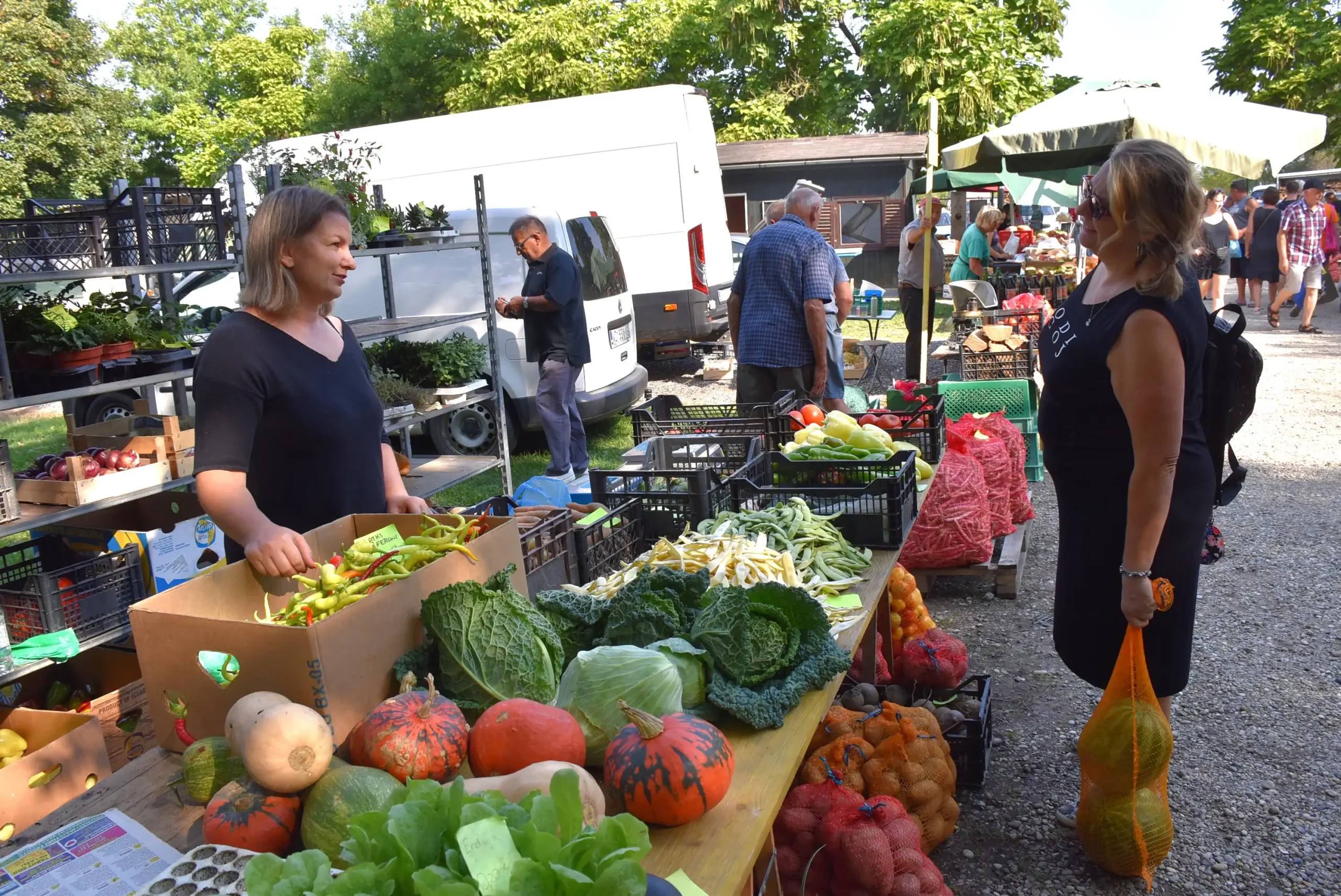 Čakovečki sajam 28. kolovoz (31) Čakovečki sajam 28. kolovoz (31)