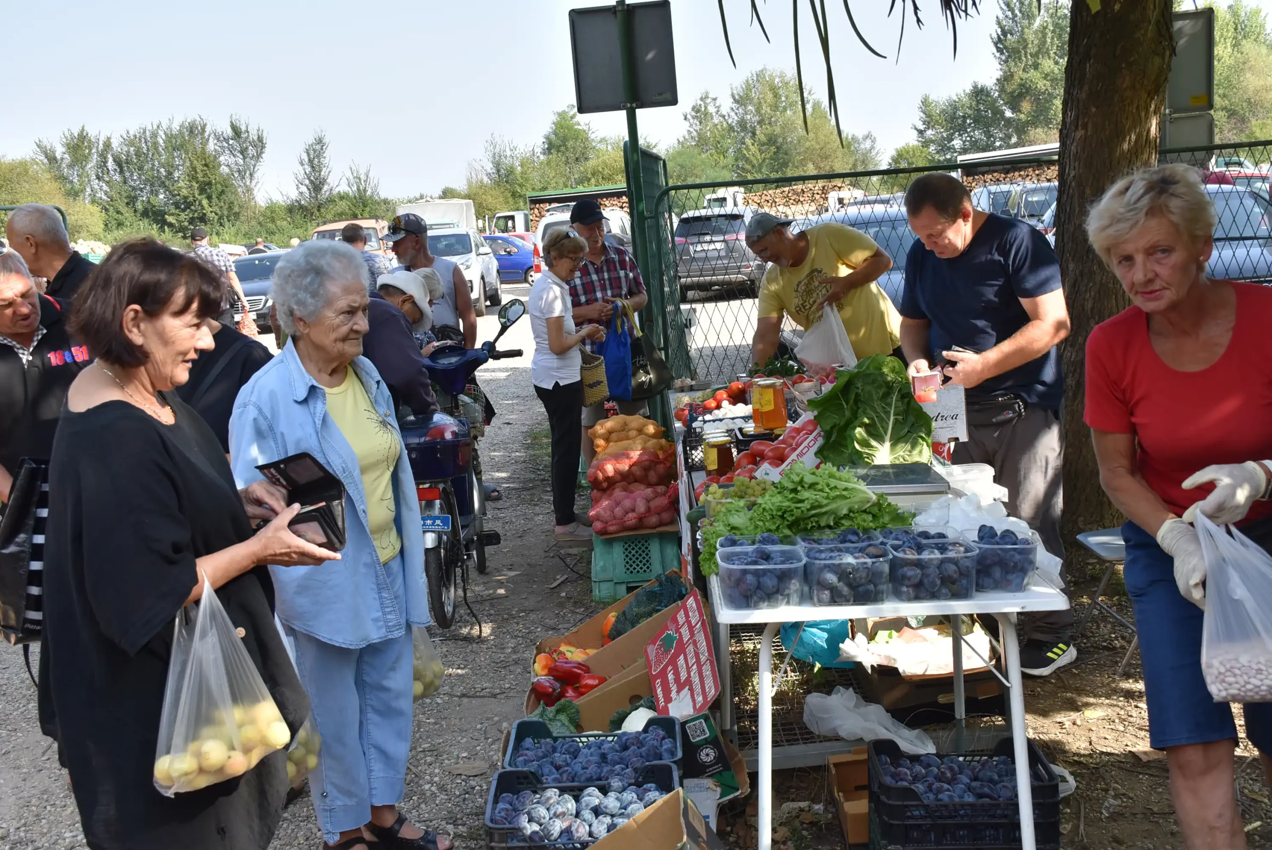 Čakovečki sajam 28. kolovoz (41) Čakovečki sajam 28. kolovoz (41)