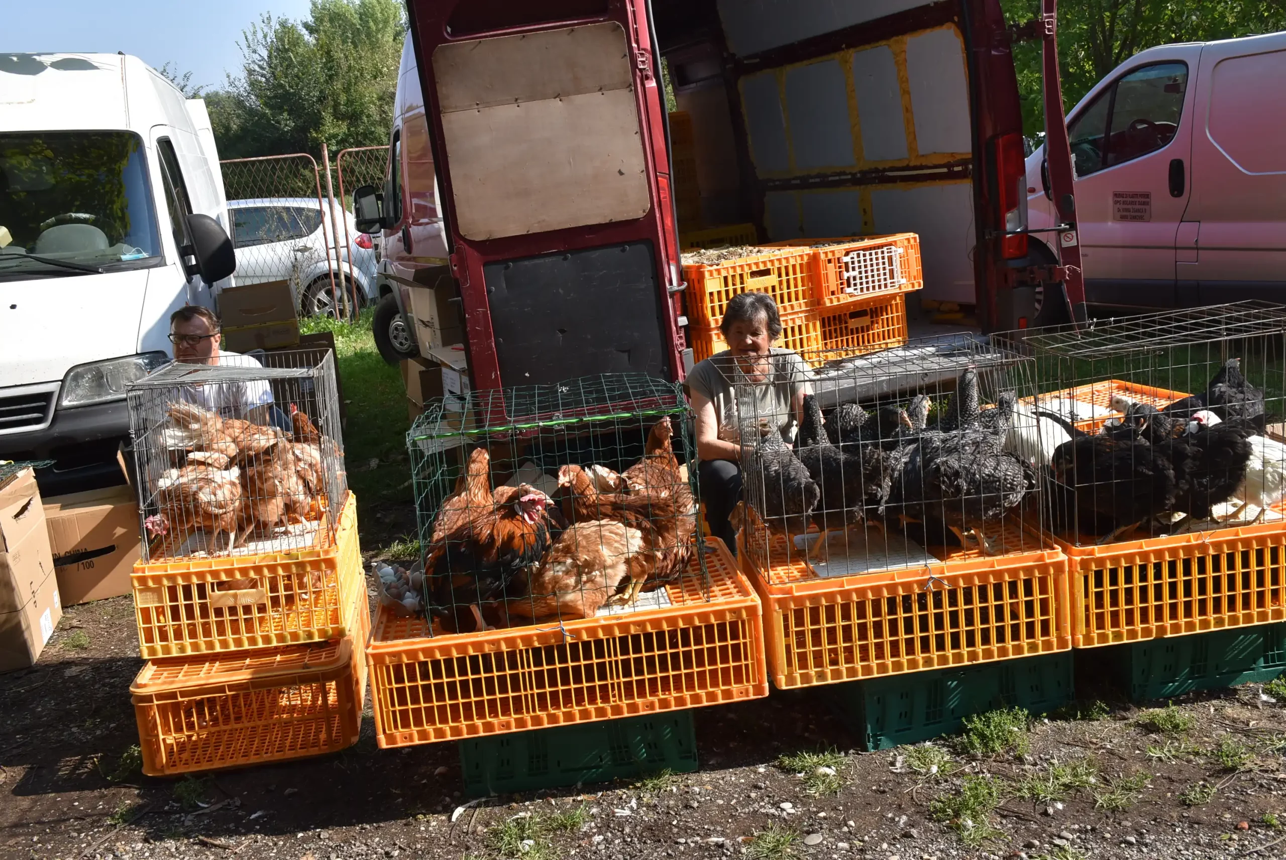 Čakovečki sajam 28. kolovoz (49) Čakovečki sajam 28. kolovoz (49)