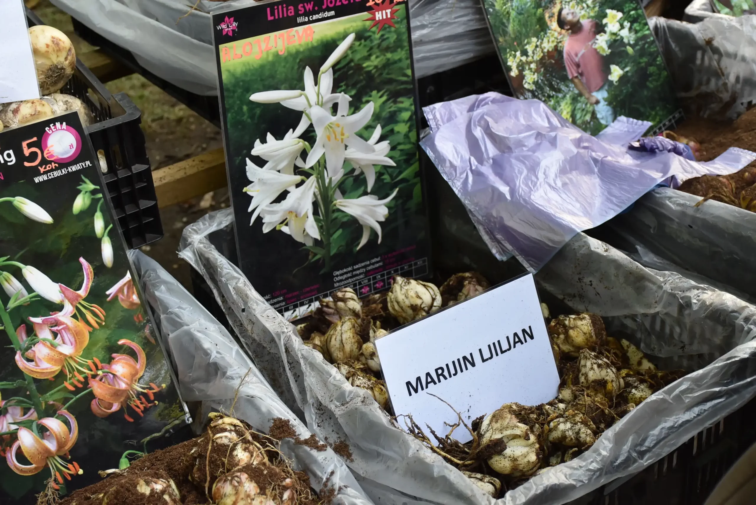 Čakovečki sajam 28. kolovoz (5) Čakovečki sajam 28. kolovoz (5)