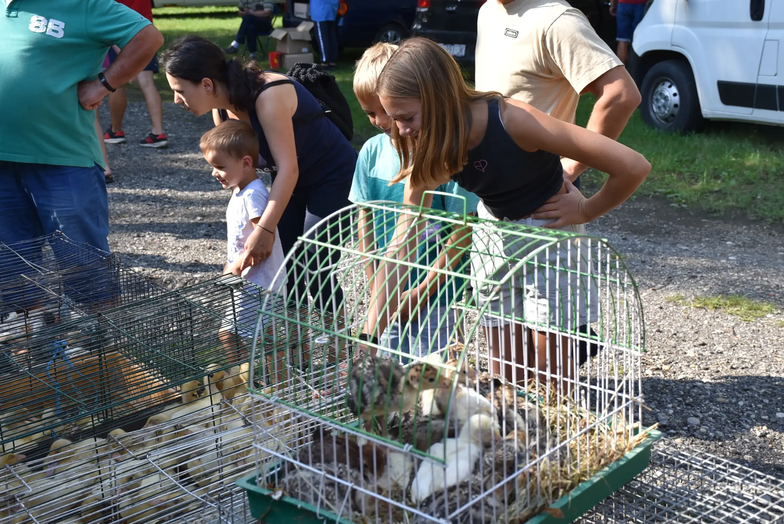 Čakovečki sajam 28. kolovoz (50) Čakovečki sajam 28. kolovoz (50)