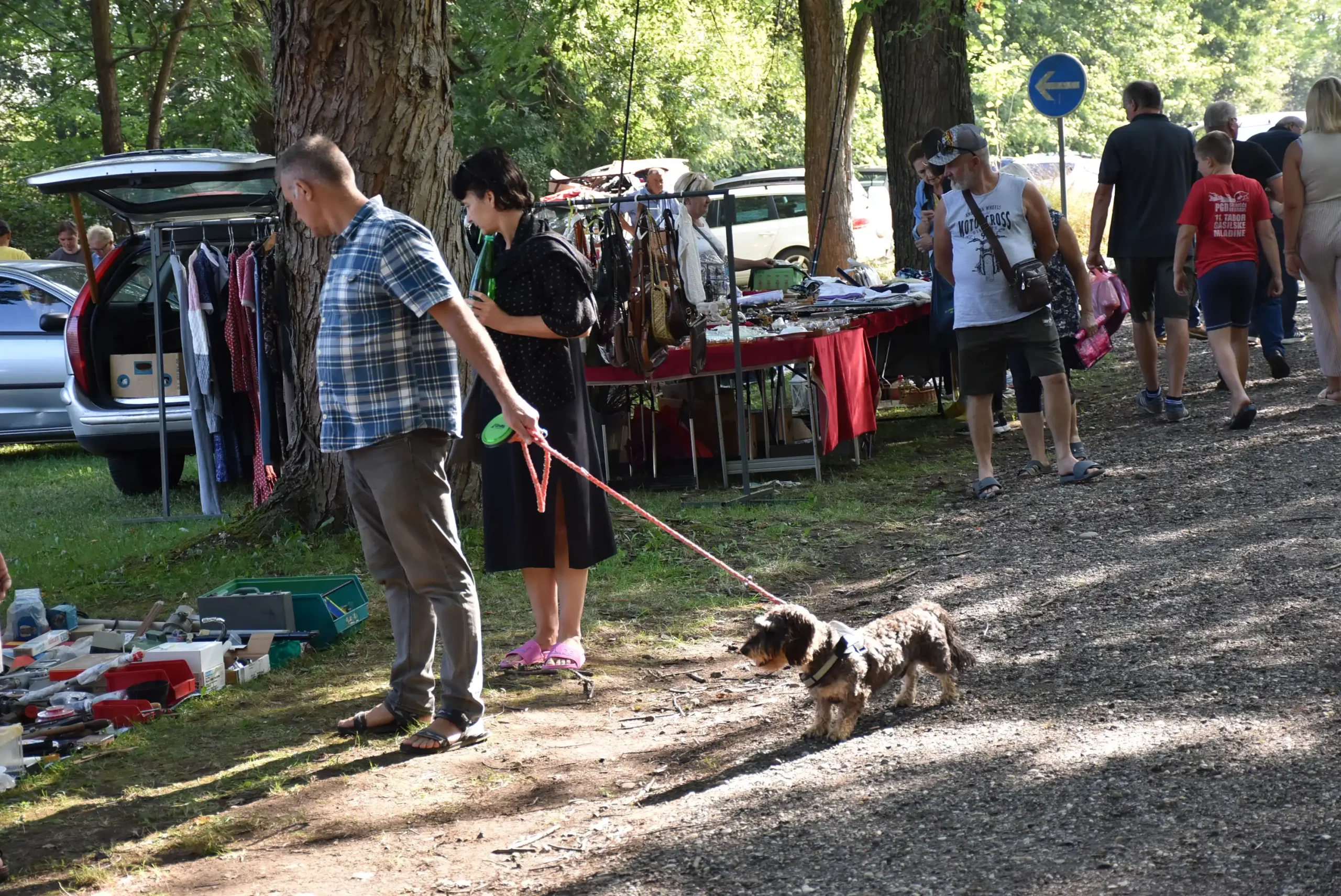 Čakovečki sajam 28. kolovoz (52) Čakovečki sajam 28. kolovoz (52)