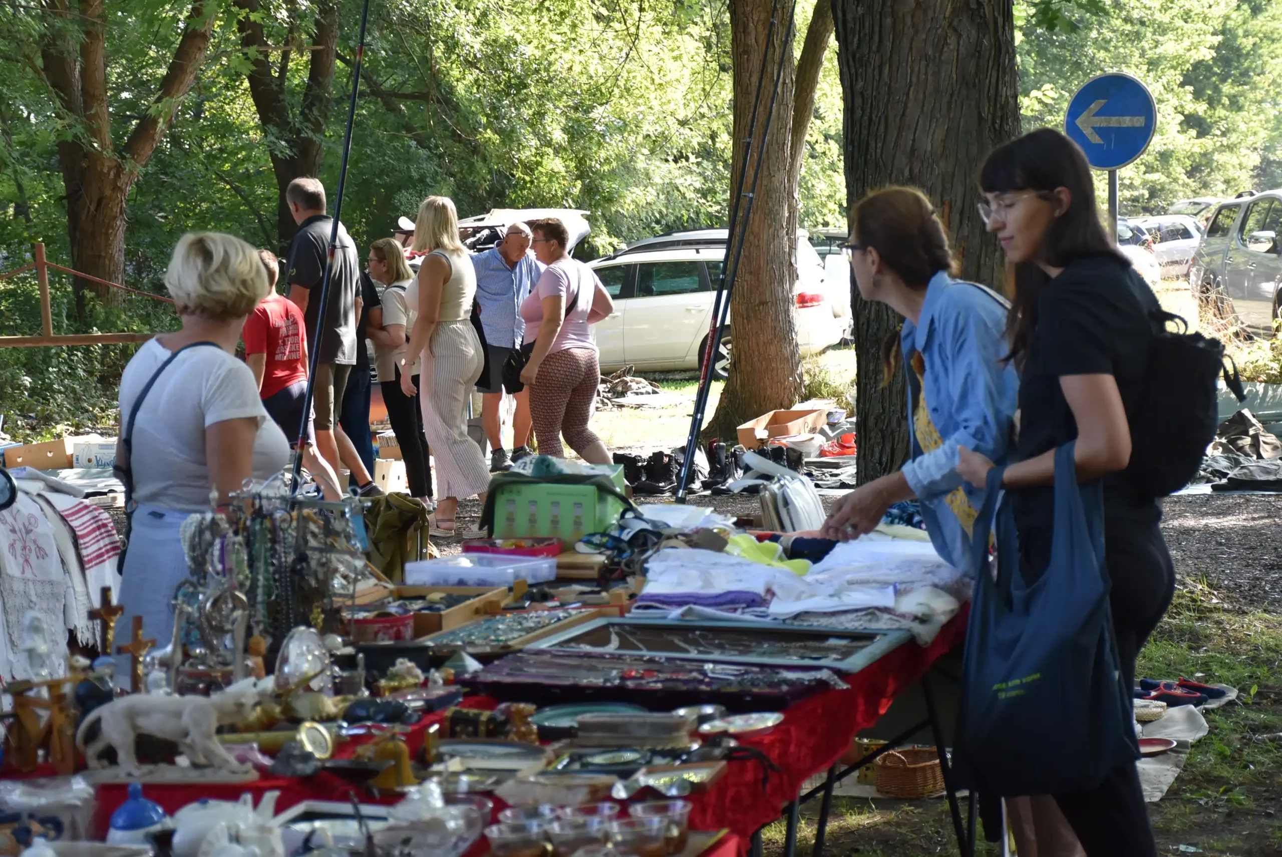 Čakovečki sajam 28. kolovoz (53) Čakovečki sajam 28. kolovoz (53)