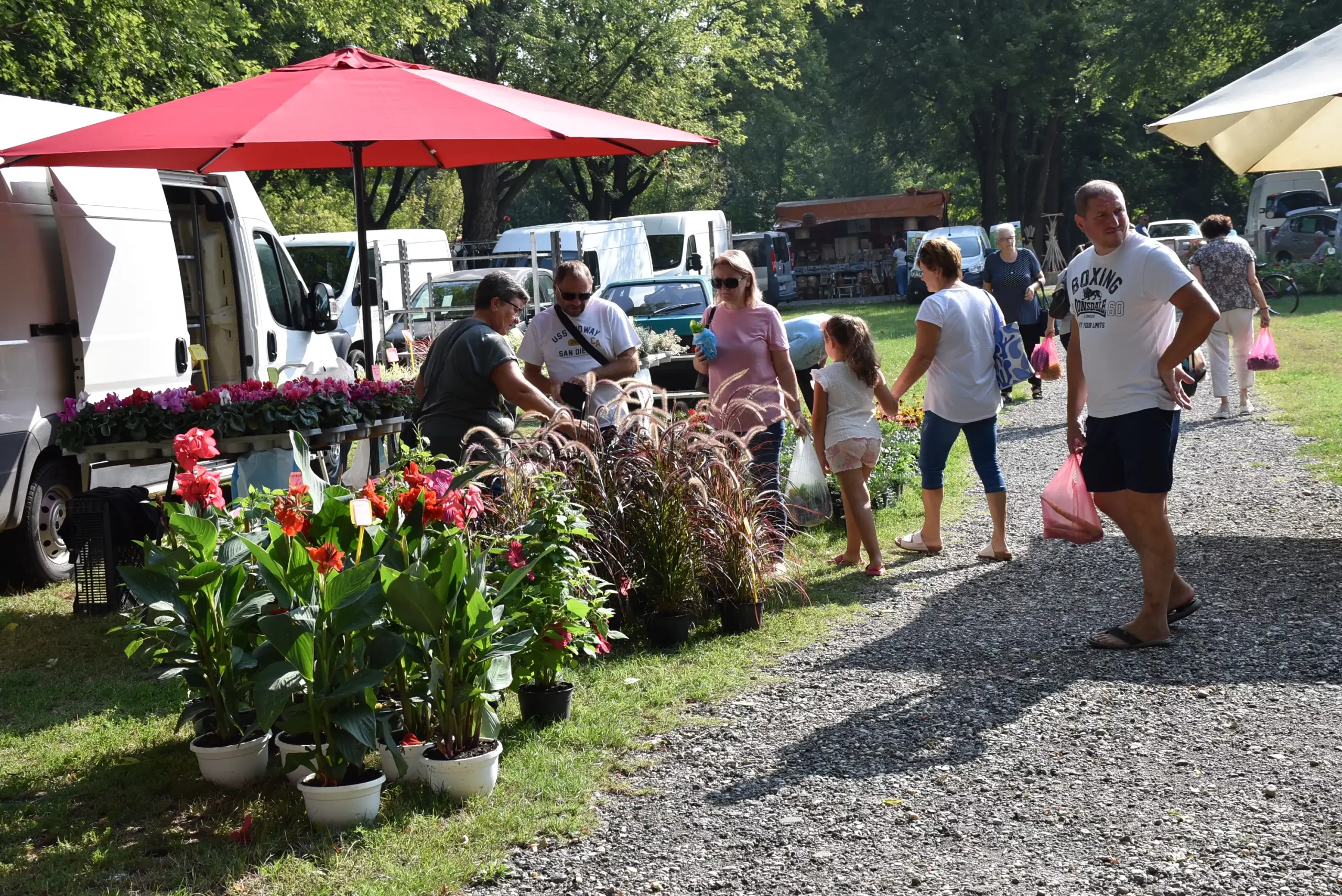 Čakovečki sajam 28. kolovoz (65) Čakovečki sajam 28. kolovoz (65)