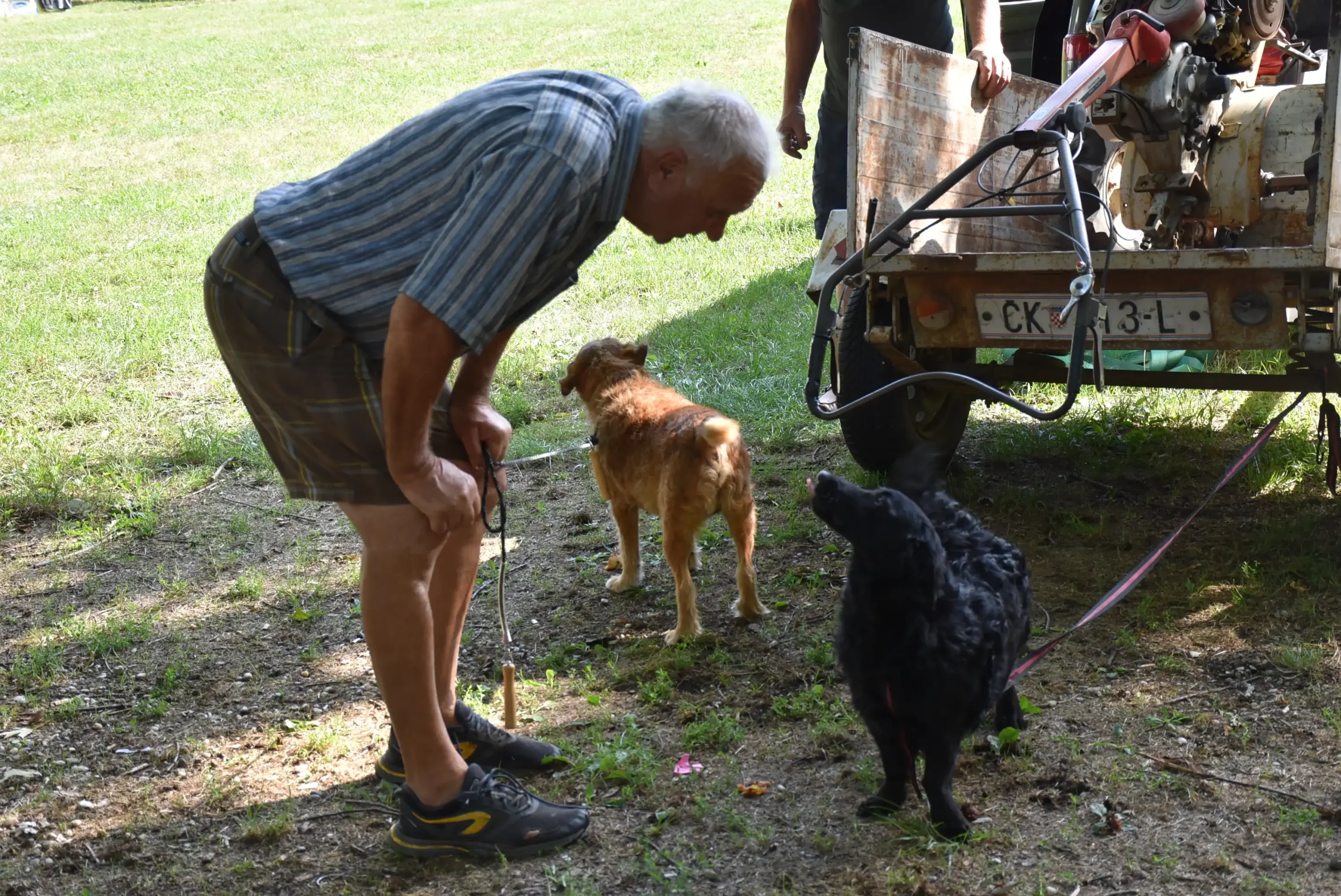 Čakovečki sajam 28. kolovoz (66) Čakovečki sajam 28. kolovoz (66)