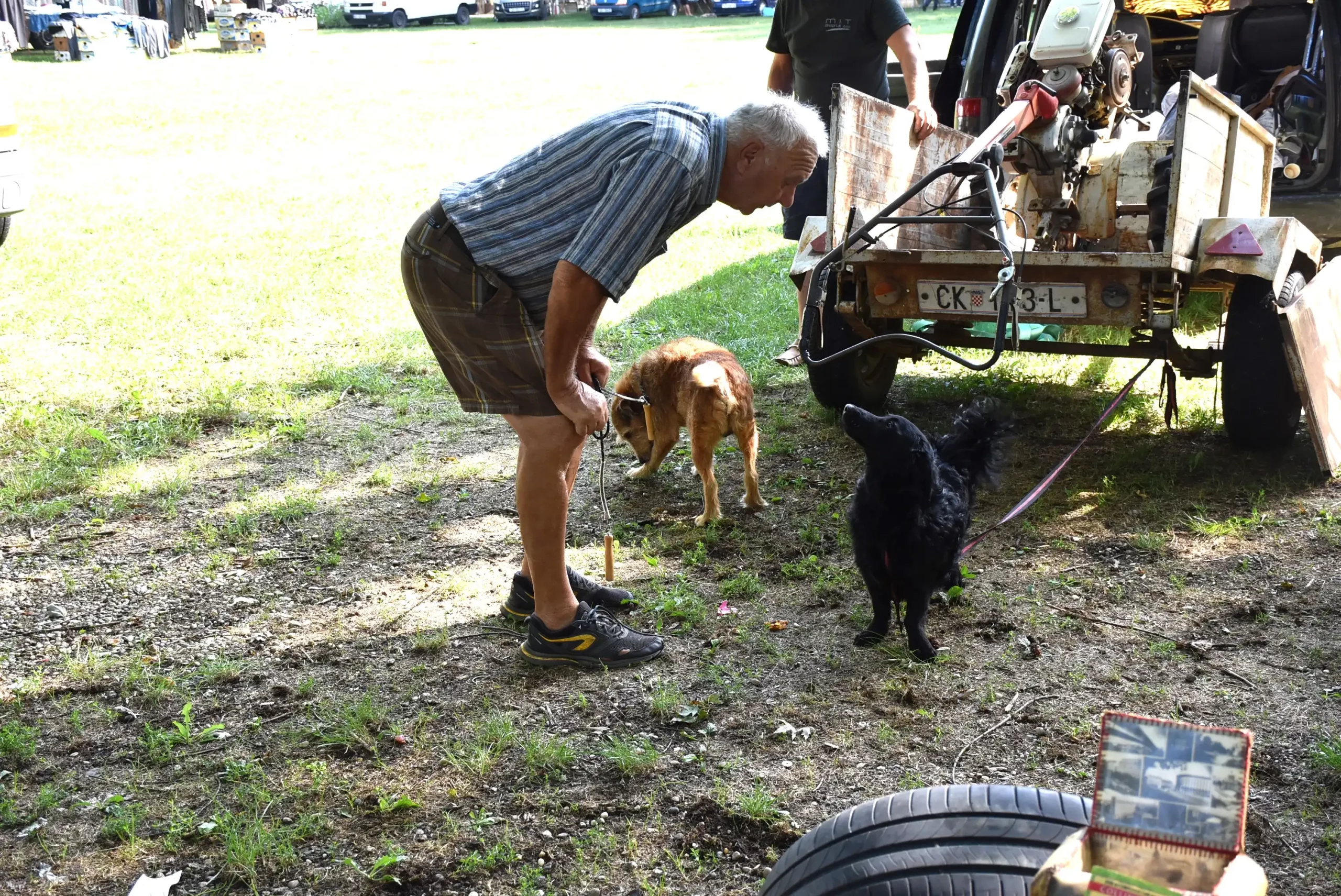 Čakovečki sajam 28. kolovoz (8) Čakovečki sajam 28. kolovoz (8)