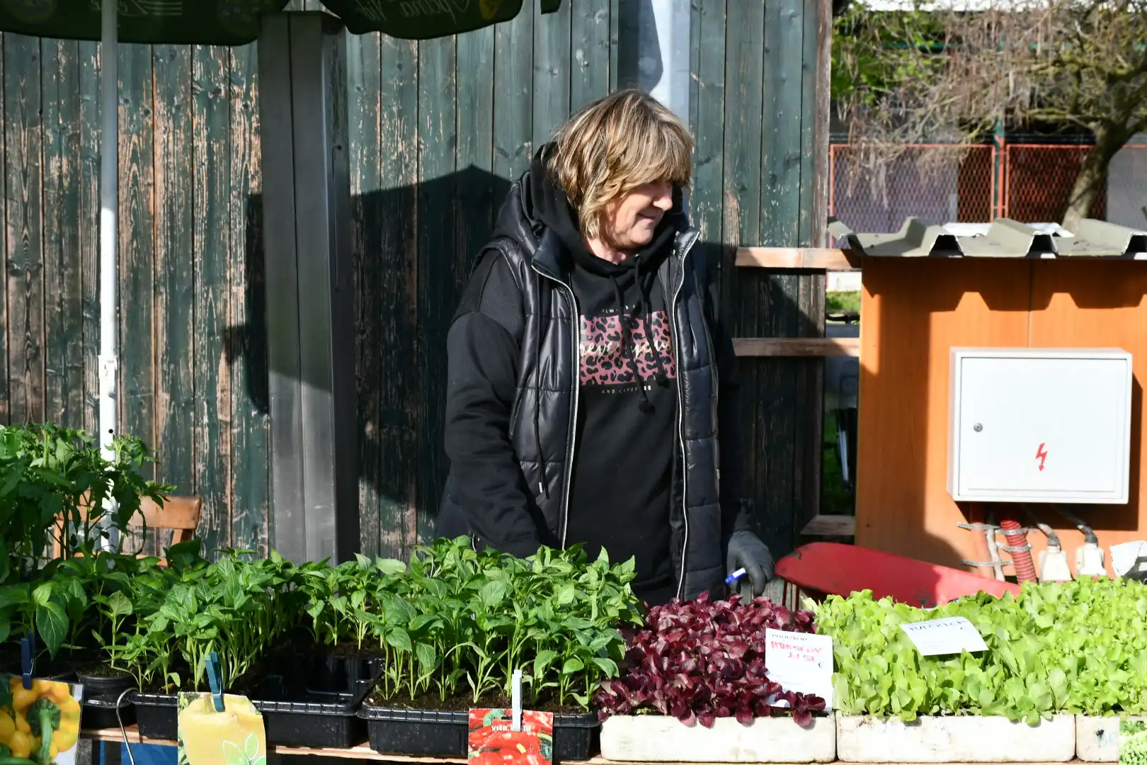 Čakovečki sajam 3. travnja (25)