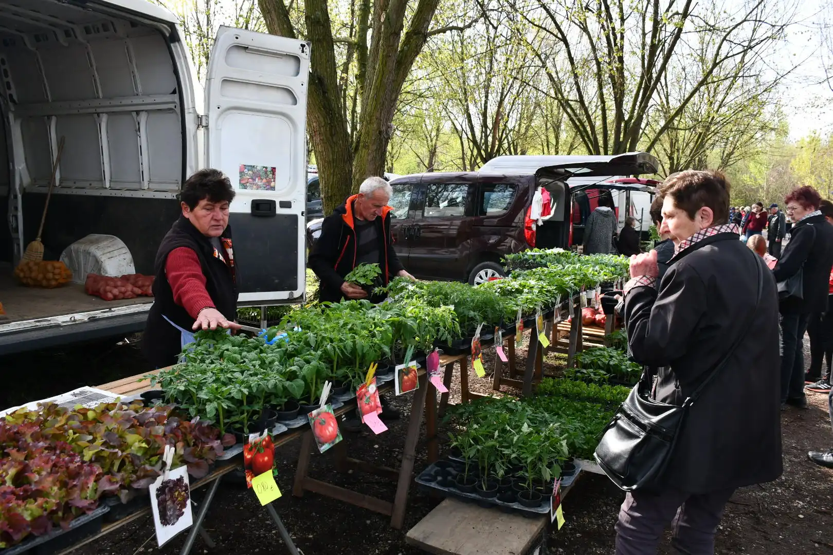 Čakovečki sajam 3. travnja (33)