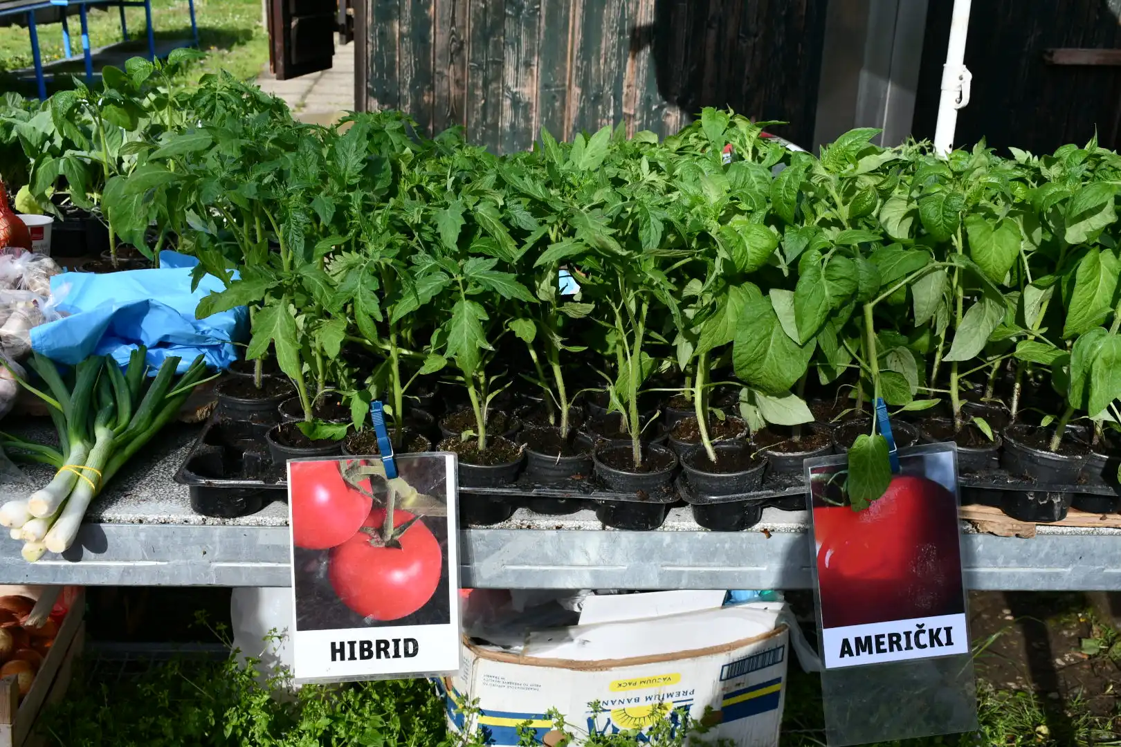 Čakovečki sajam 3. travnja (9)