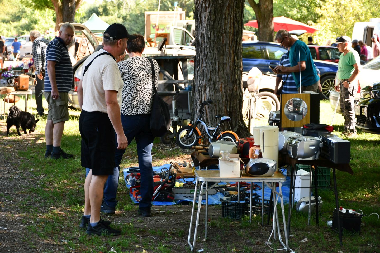 Čakovečki sajam 30 (20)