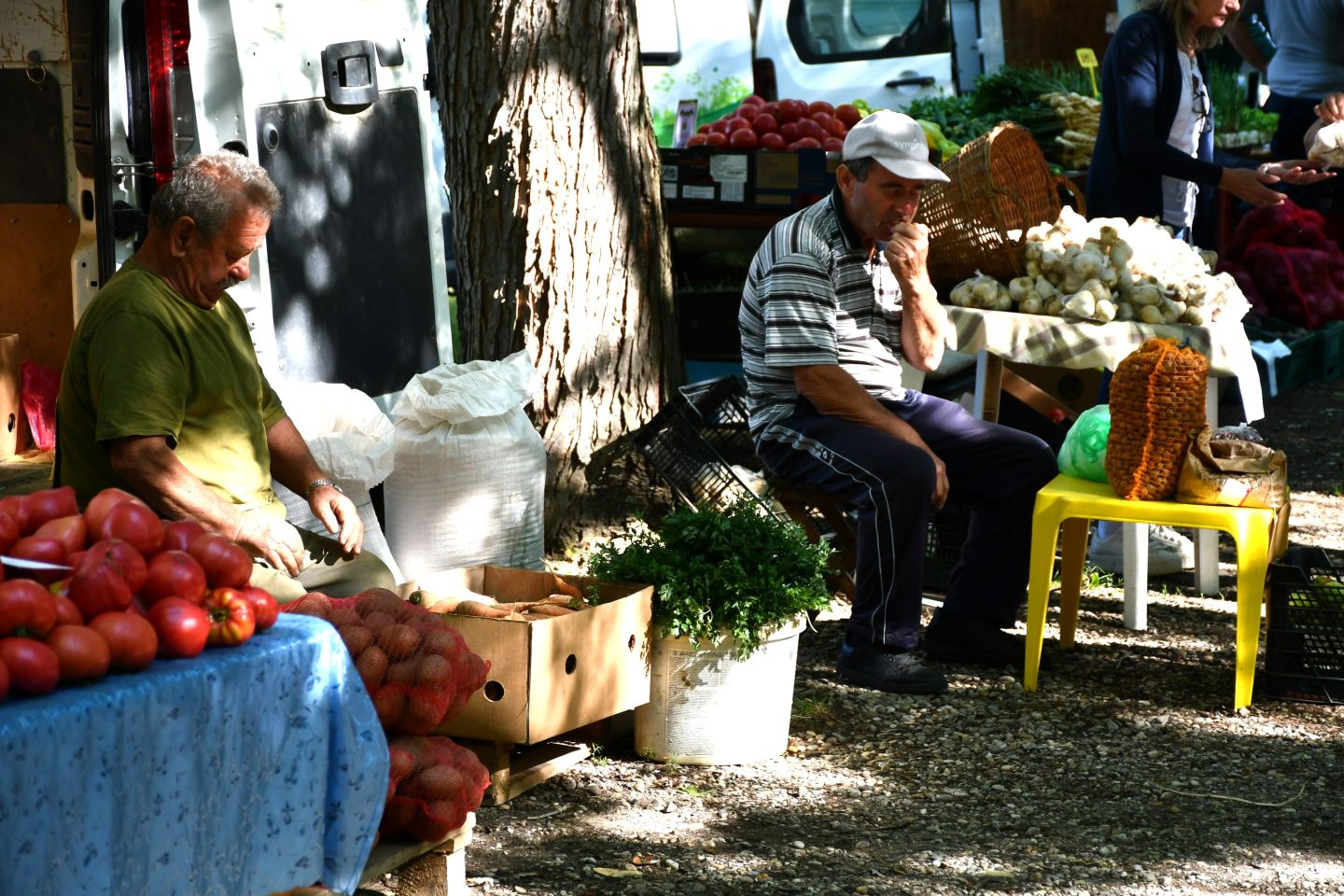 Čakovečki sajam 30 (26)