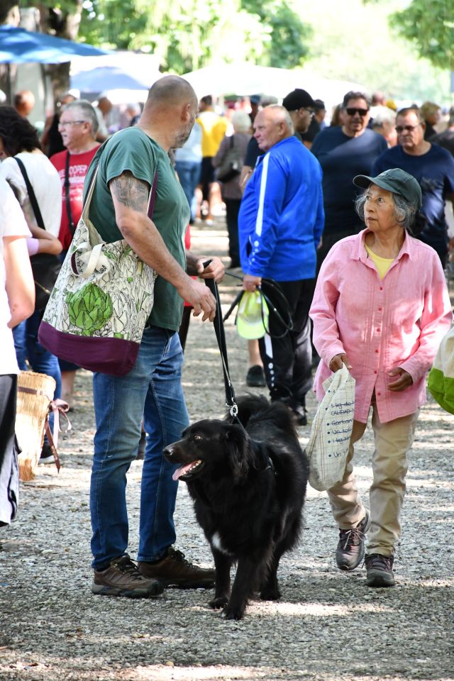 Čakovečki sajam 30 (27)