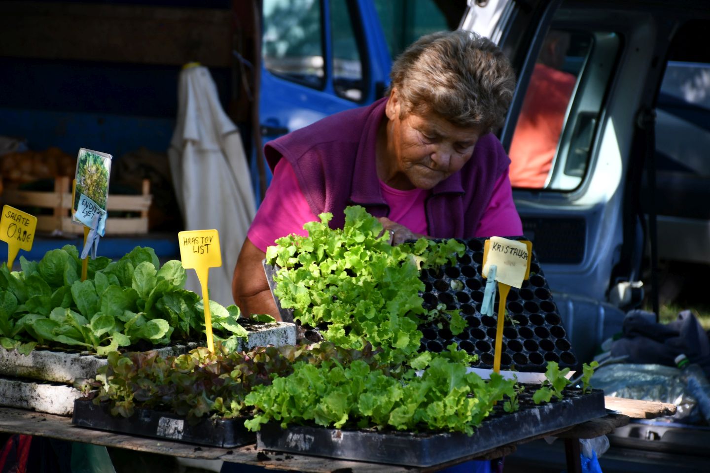 Čakovečki sajam 30 (31)