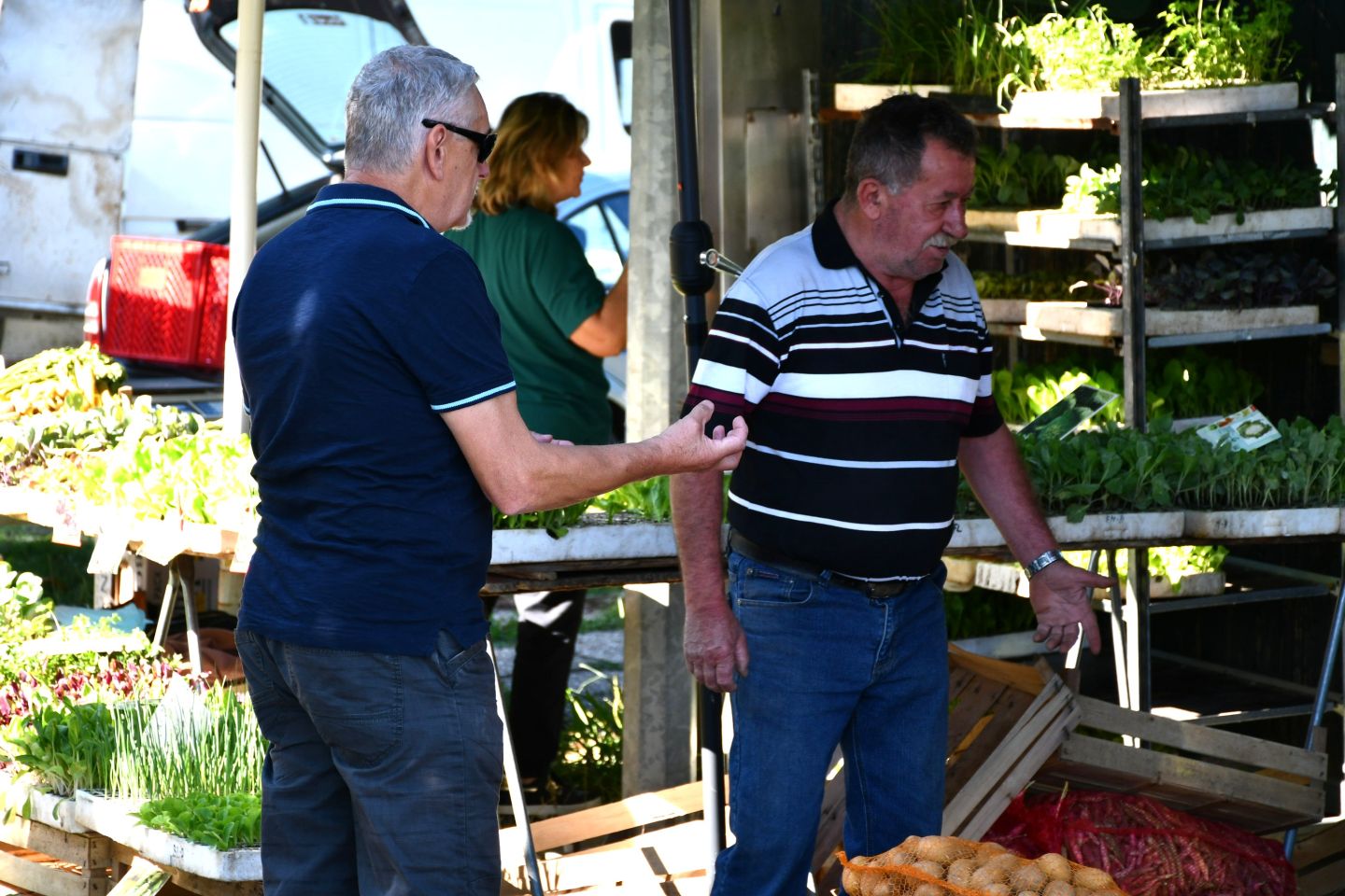 Čakovečki sajam 30 (45)