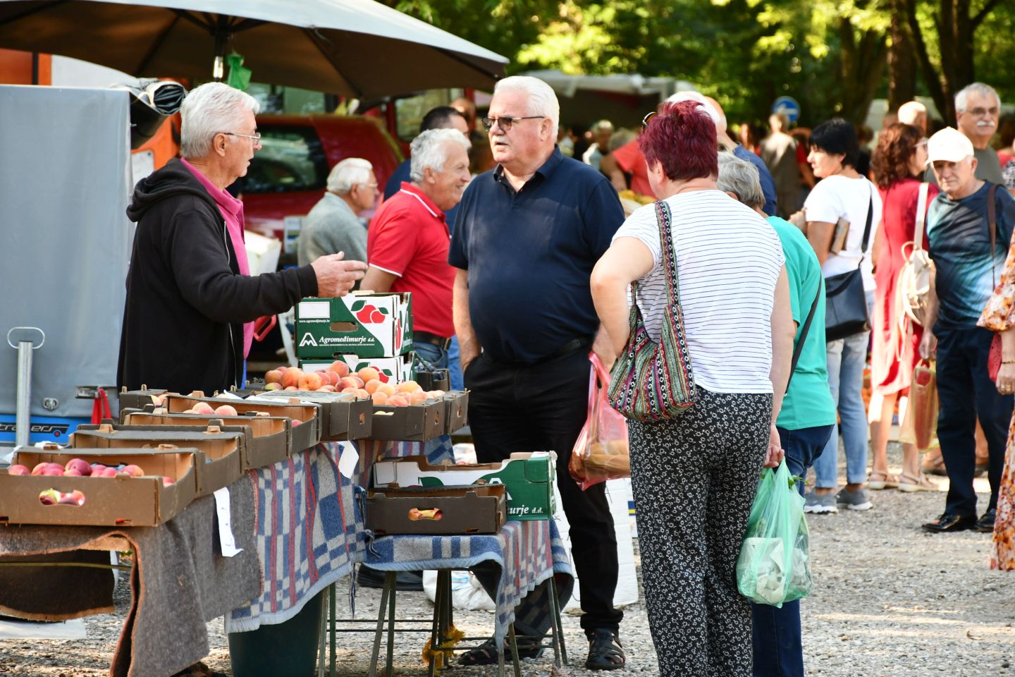 Čakovečki sajam 30 (46)