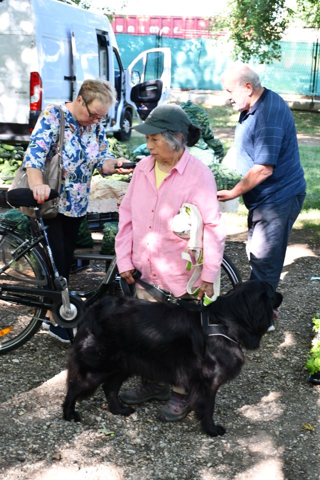 Čakovečki sajam 30 (6)