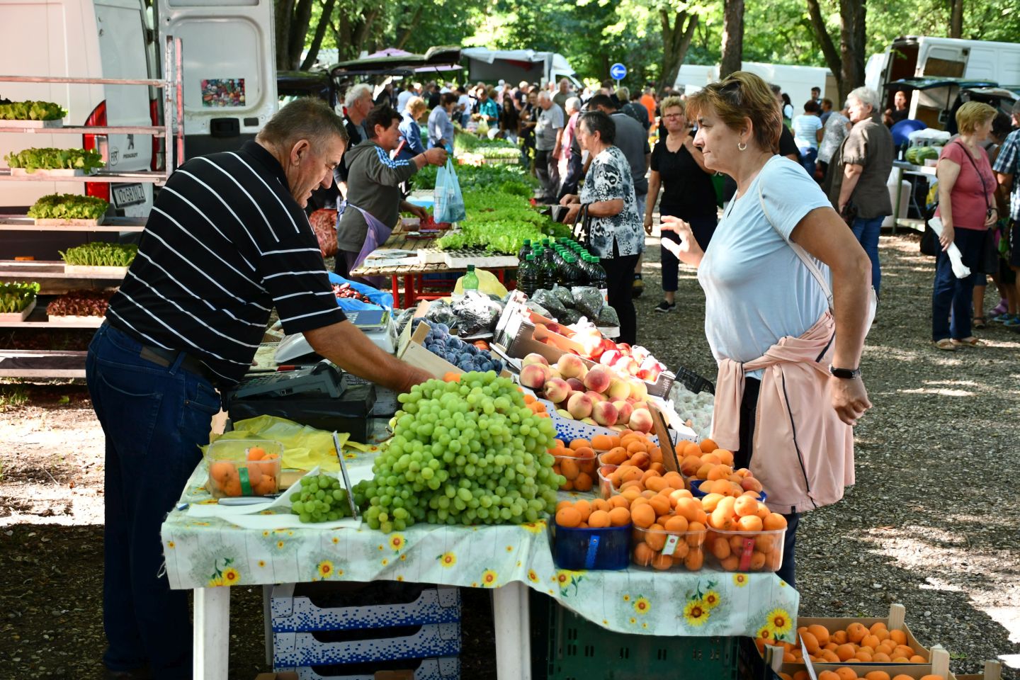 Čakovečki sajam 30 (7)