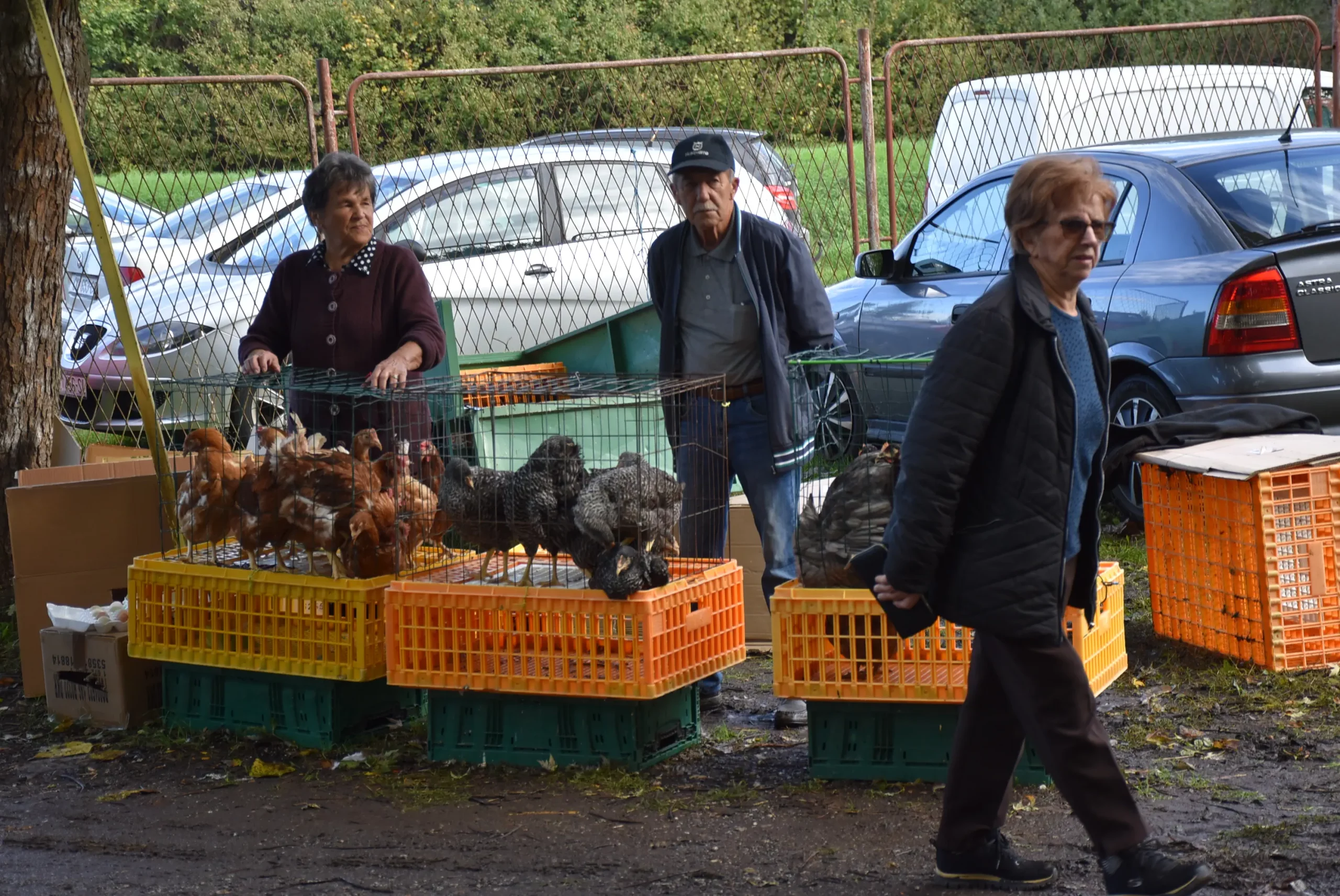 Čakovečki sajam 9. listopad (16)