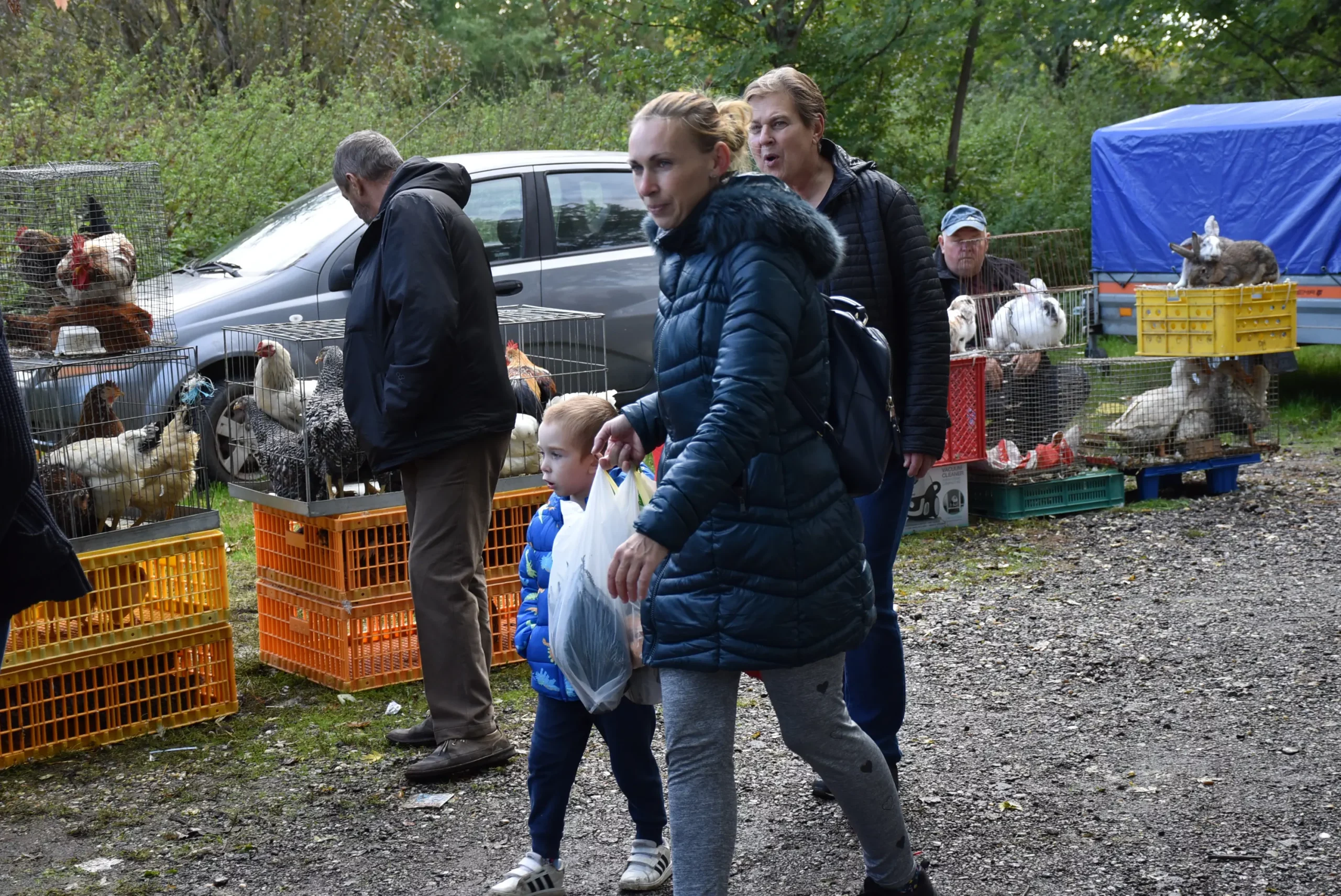 Čakovečki sajam 9. listopad (19)