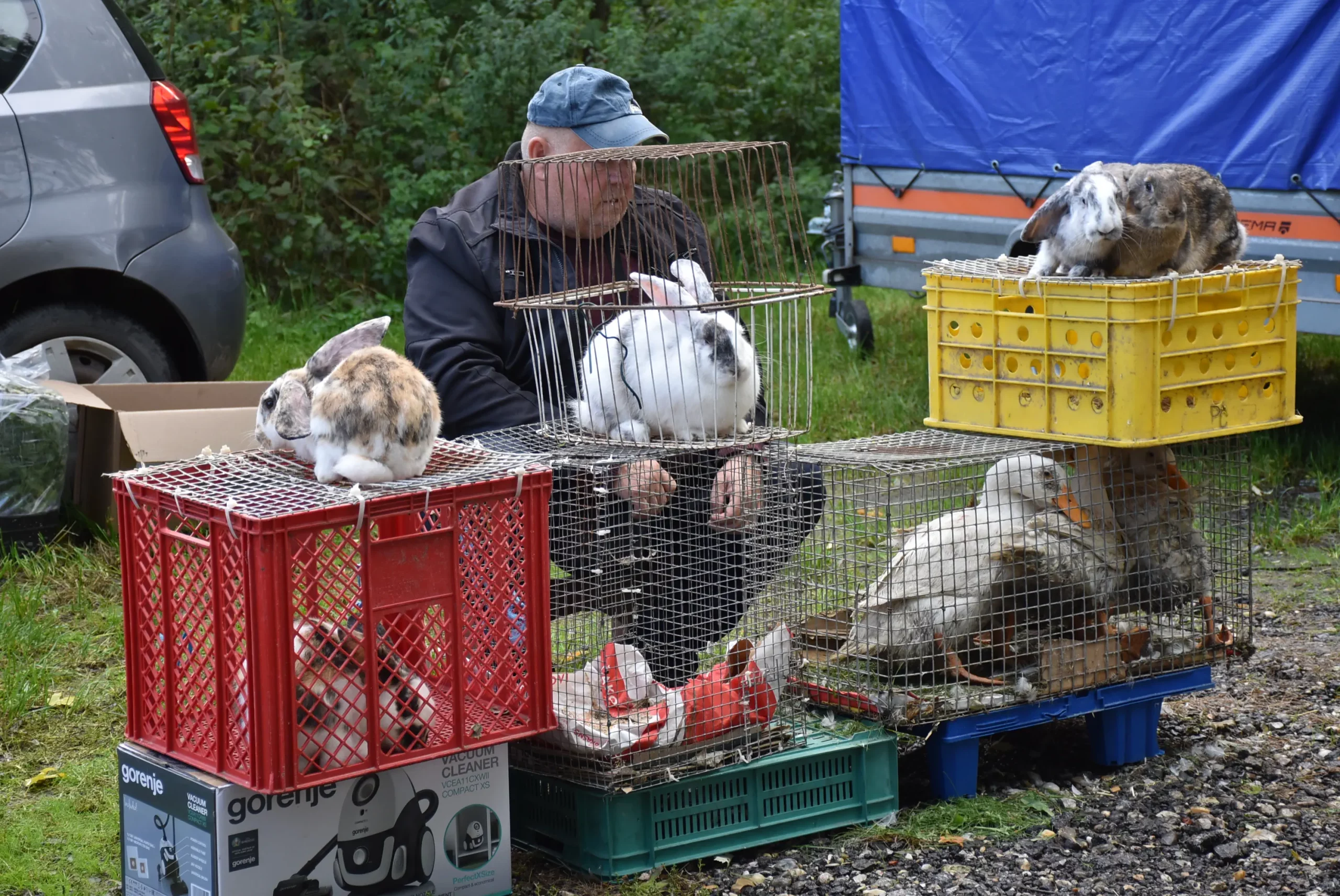 Čakovečki sajam 9. listopad (20)