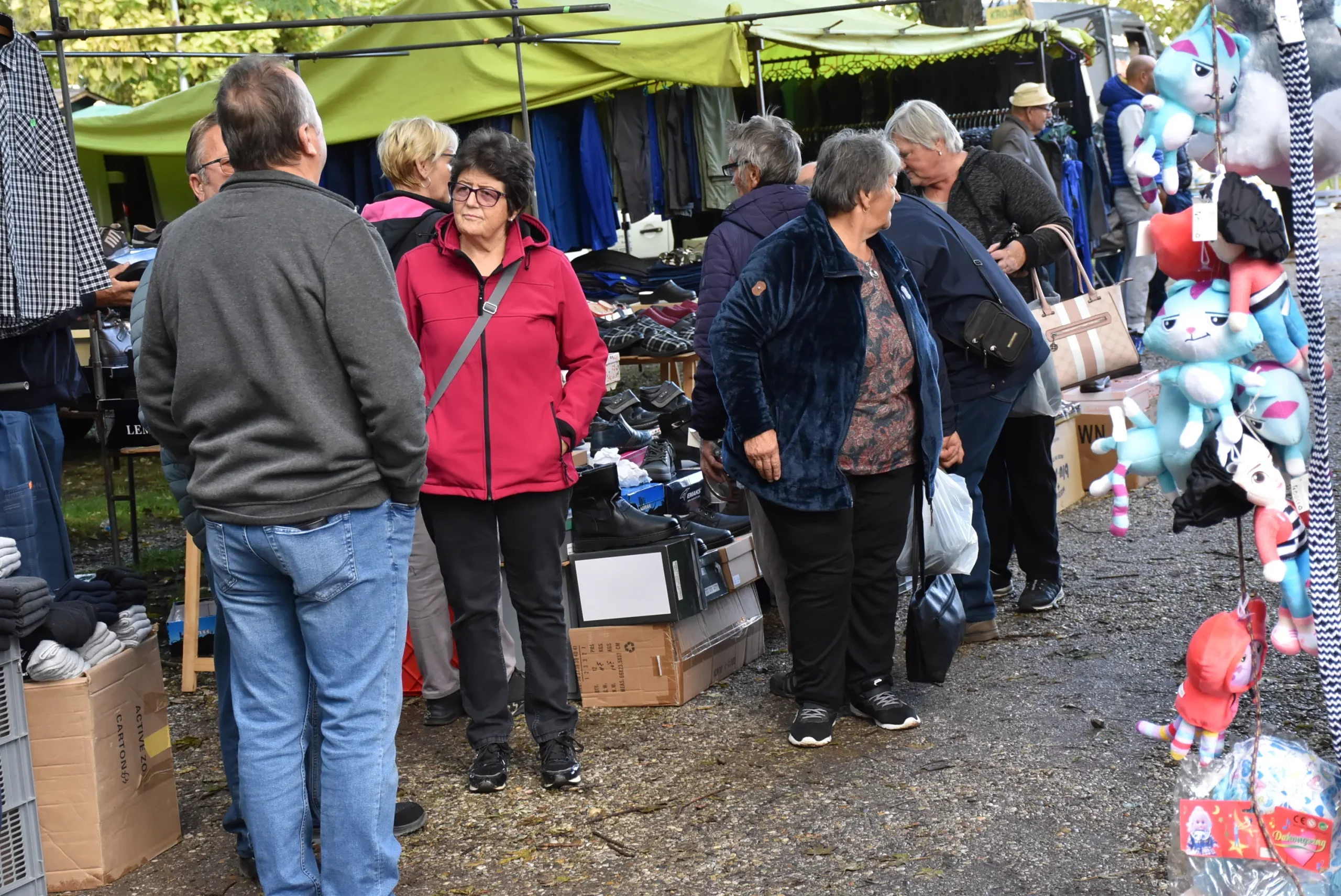 Čakovečki sajam 9. listopad (29)