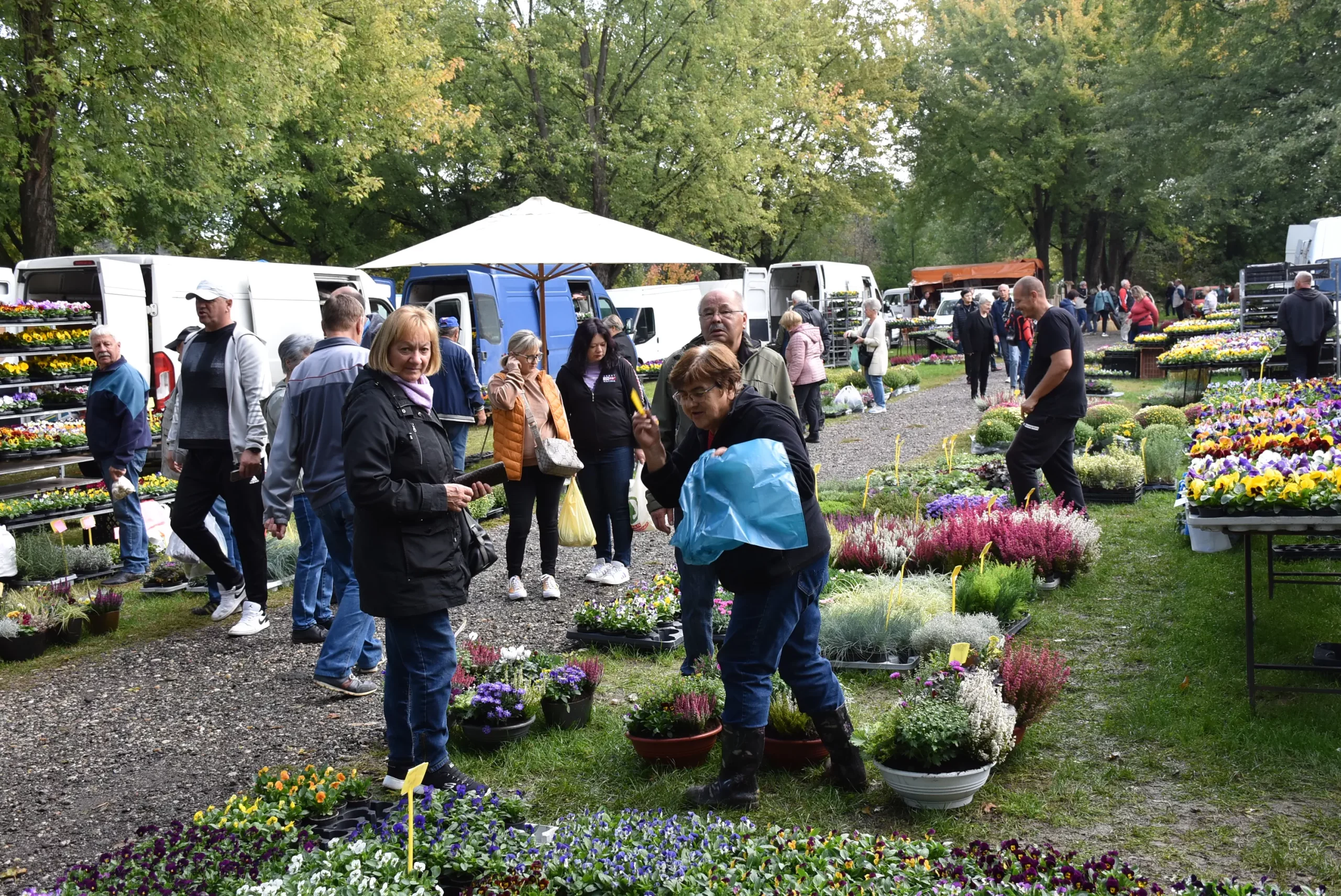 Čakovečki sajam 9. listopad (30)