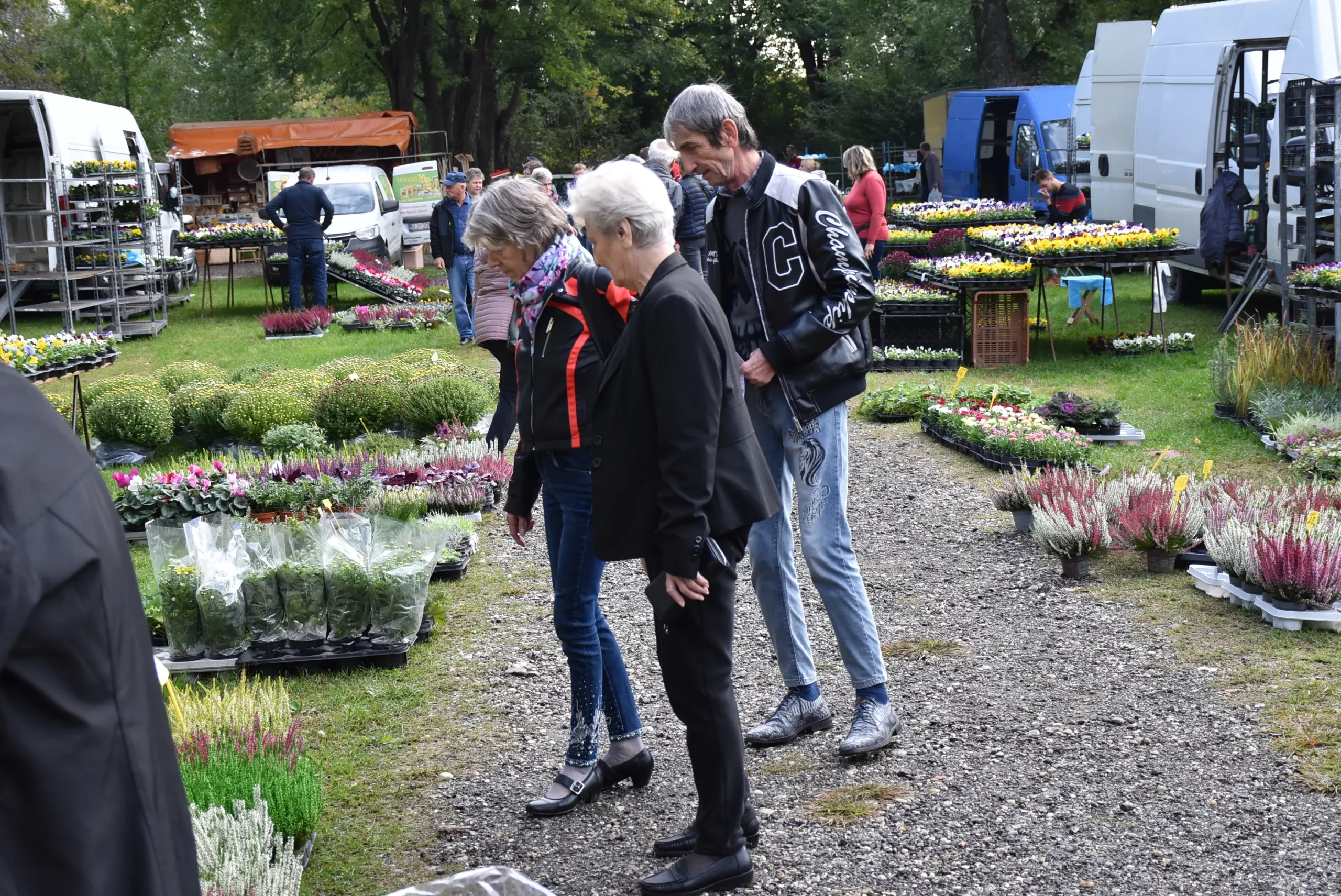 Čakovečki sajam 9. listopad (33)