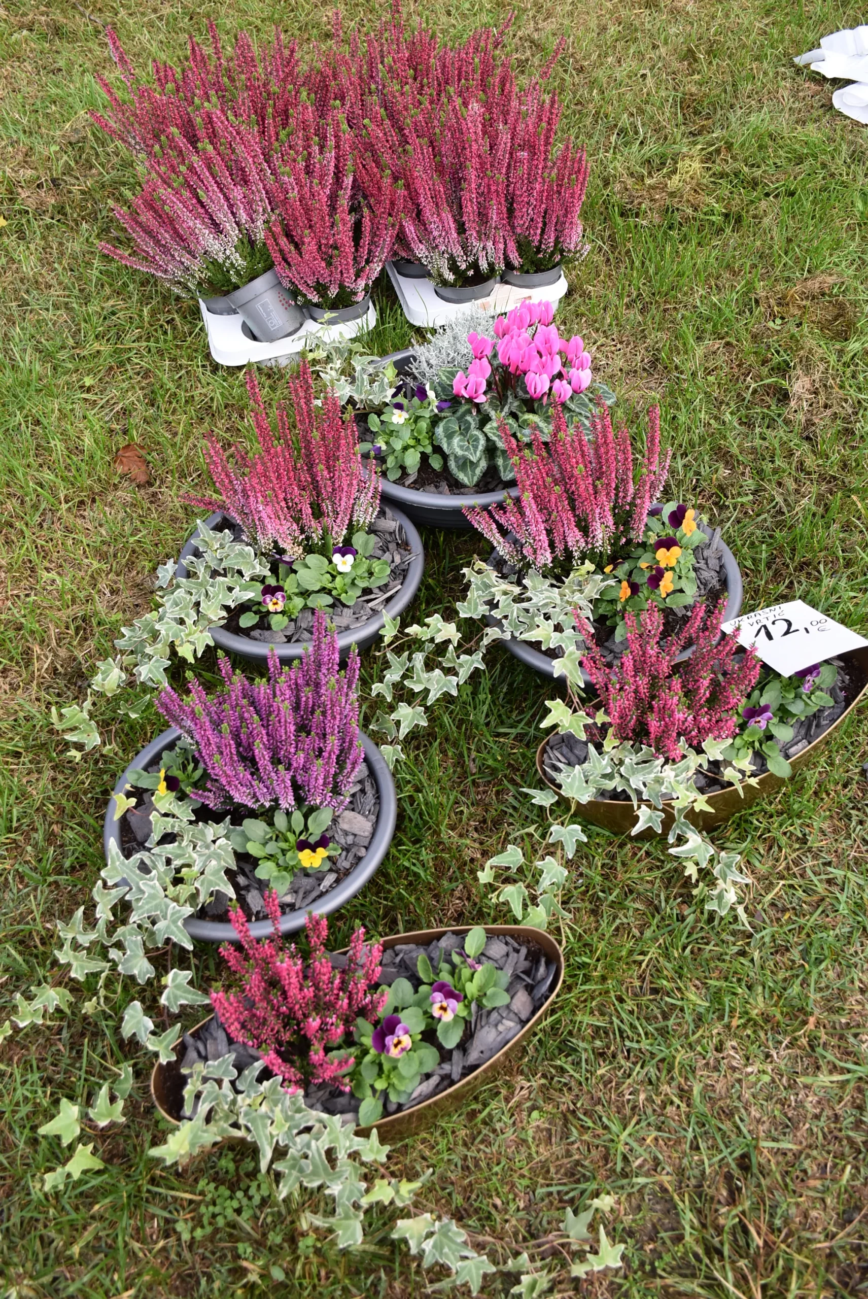 Čakovečki sajam 9. listopad (37)