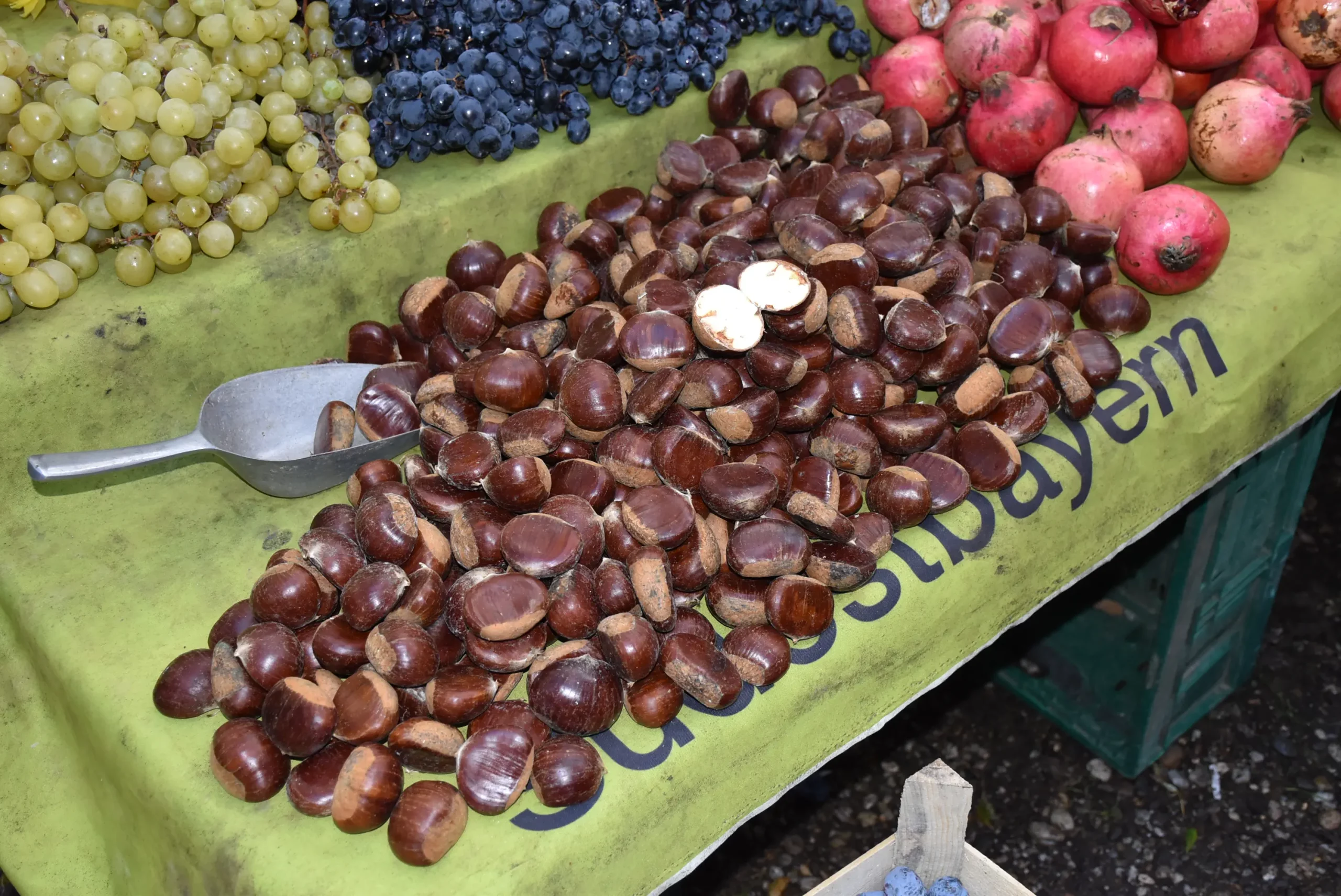 Čakovečki sajam 9. listopad (49)