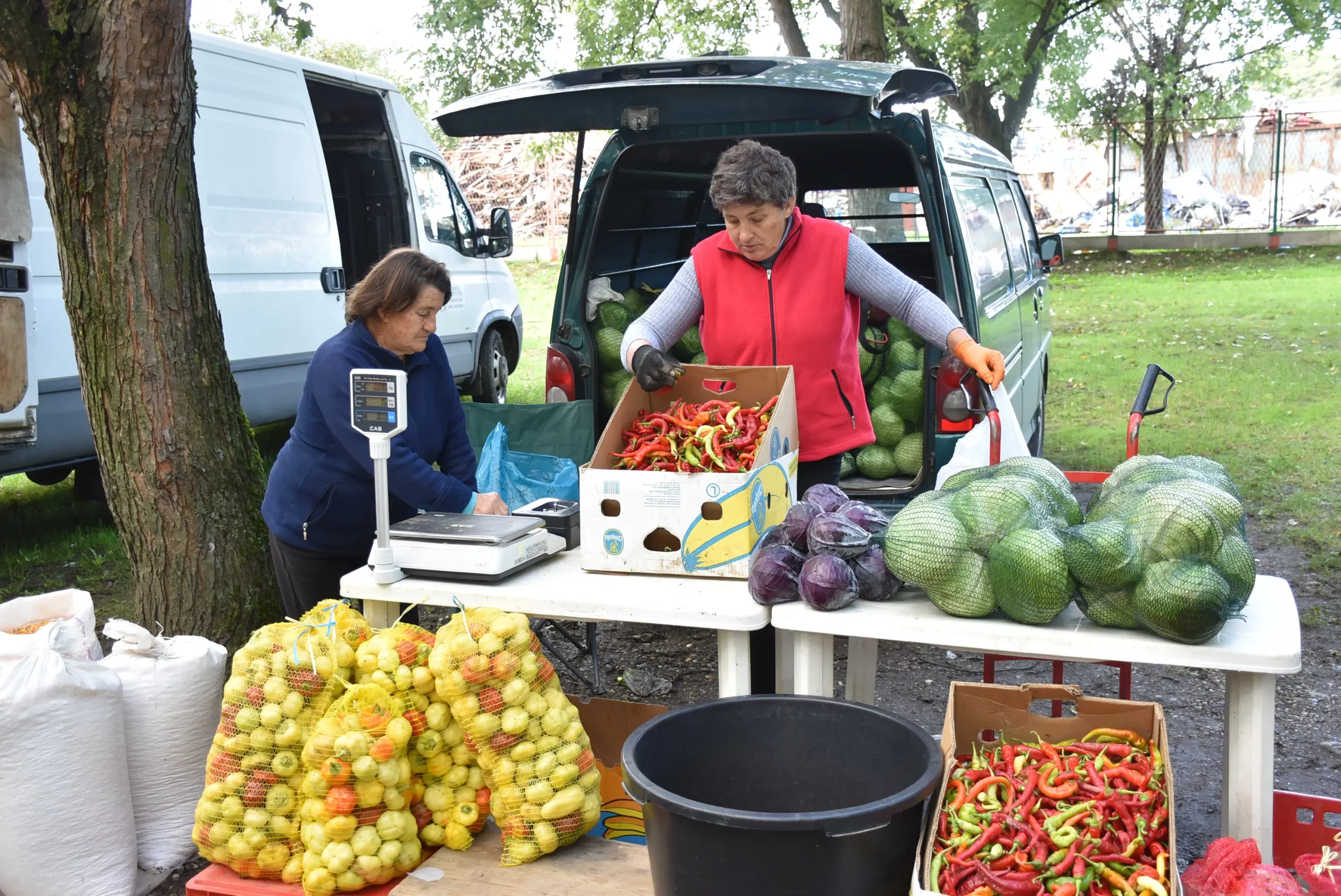 Čakovečki sajam 9. listopad (50)