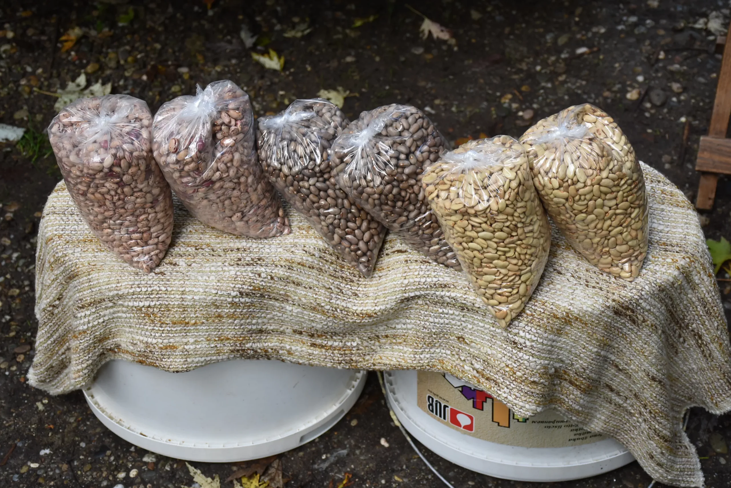 Čakovečki sajam 9. listopad (56)