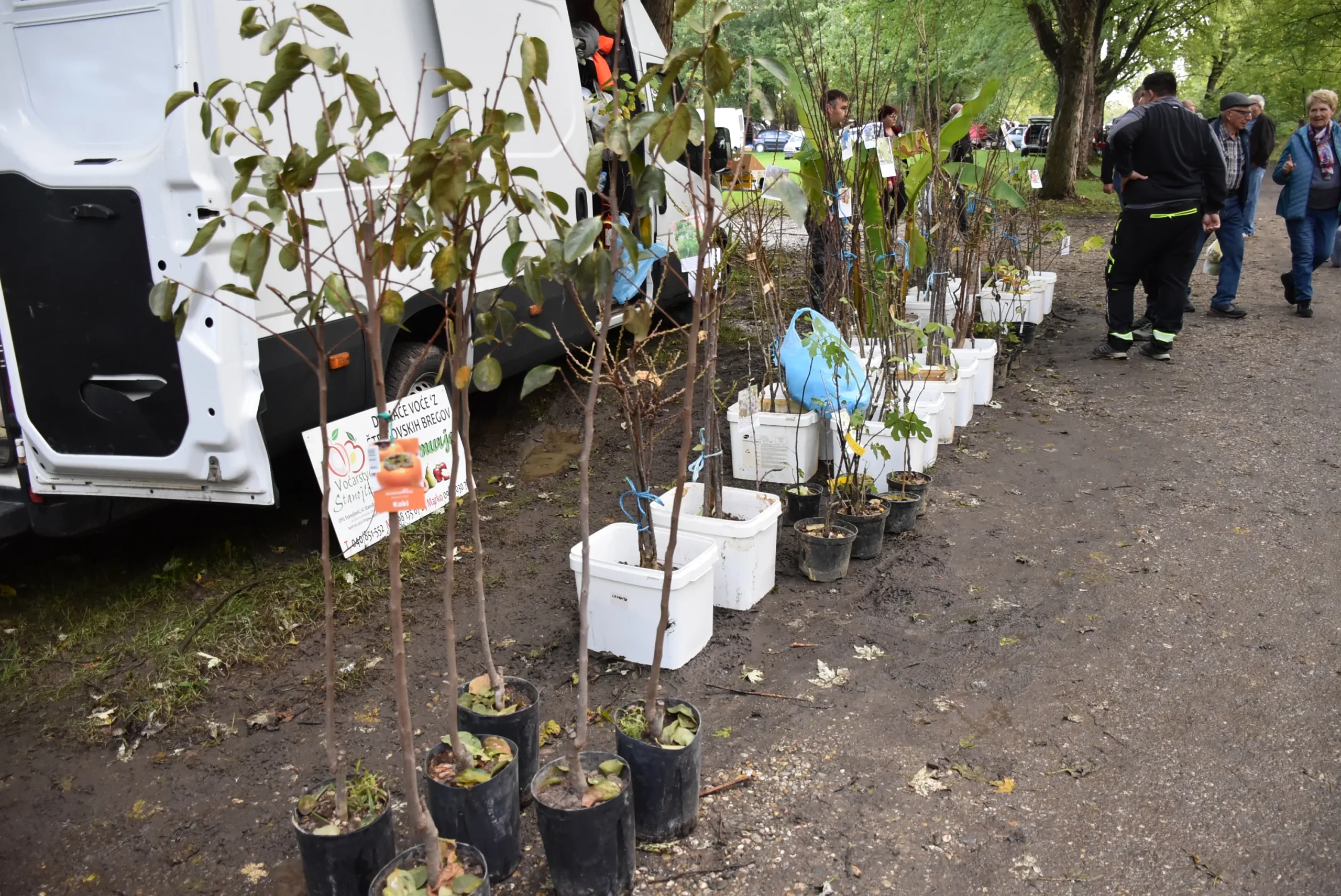 Čakovečki sajam 9. listopad (58)