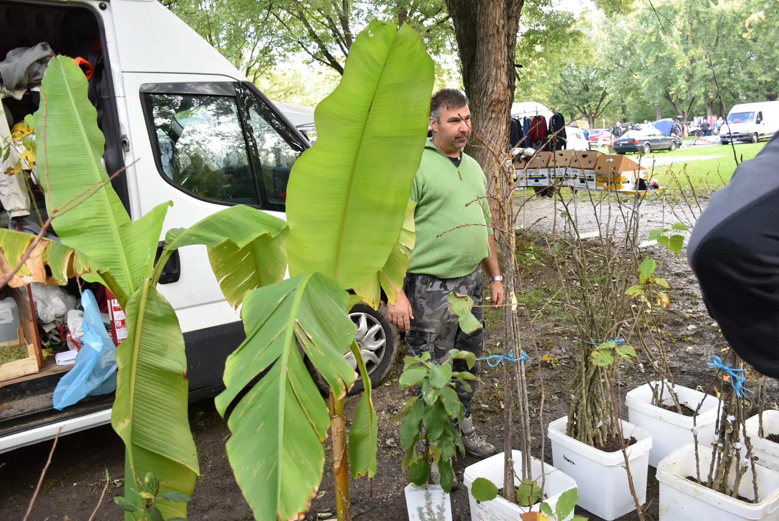 Čakovečki sajam 9. listopad (60)
