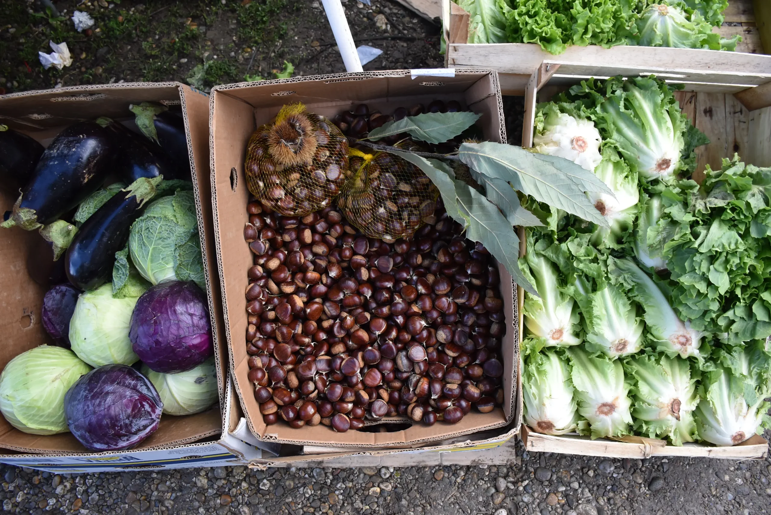 Čakovečki sajam 9. listopad (68)