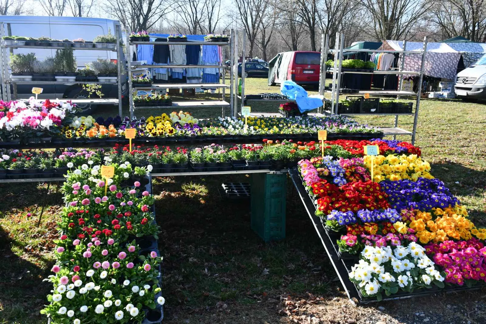 Čakovečki sajam srijedom (11)