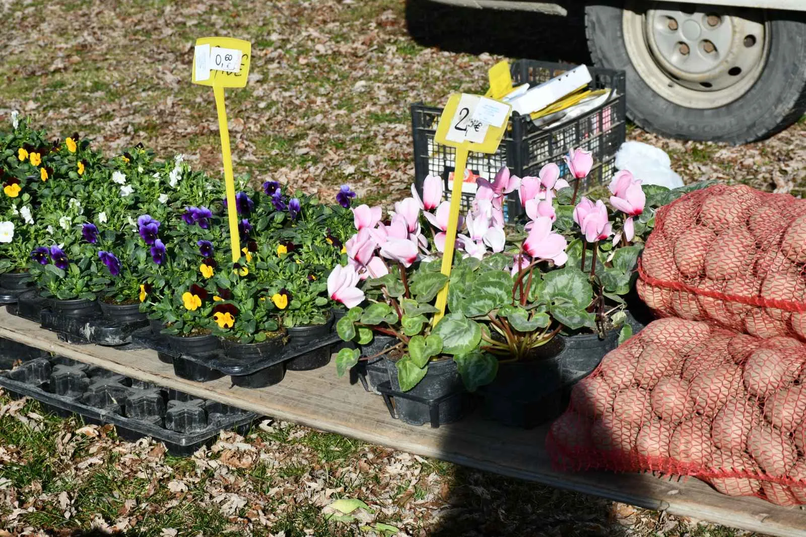 Čakovečki sajam srijedom (12)