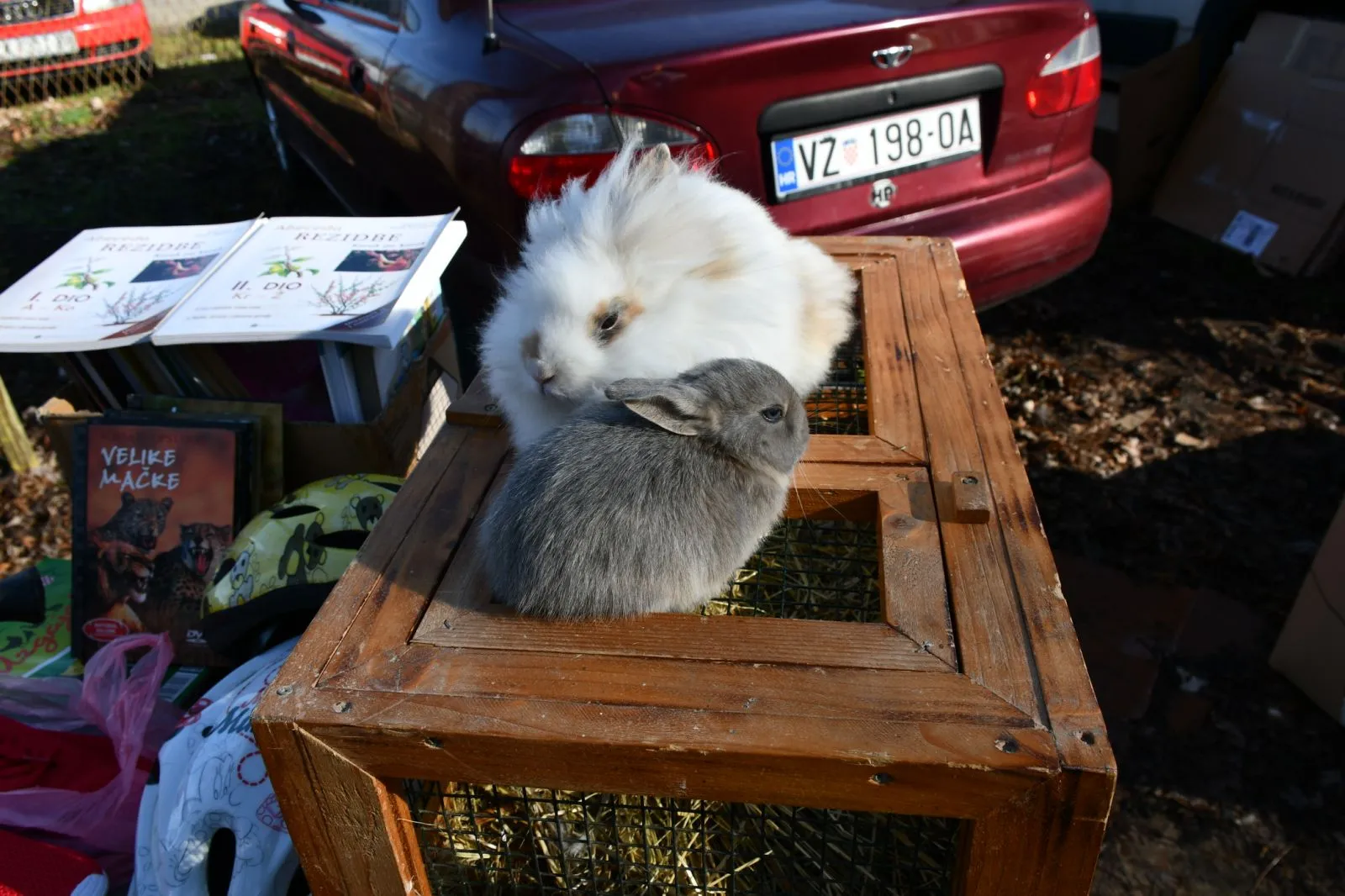 Čakovečki sajam srijedom (3)