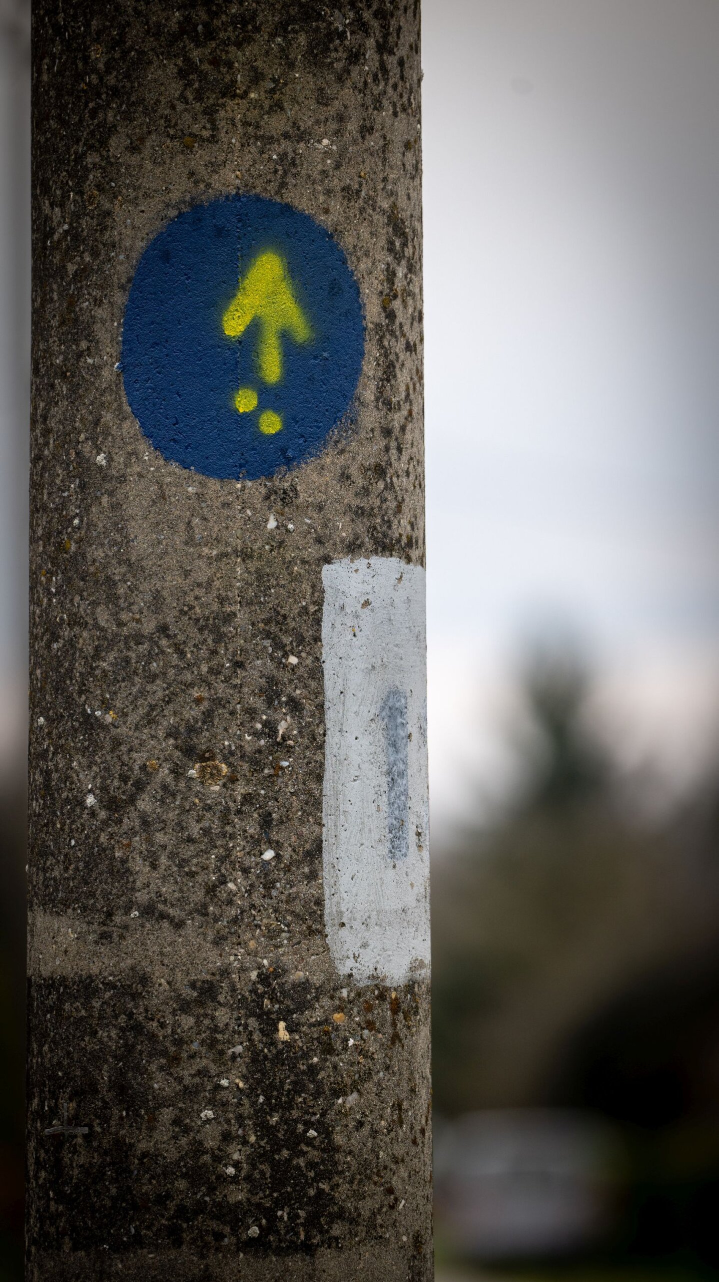 Camino Međimurje-24