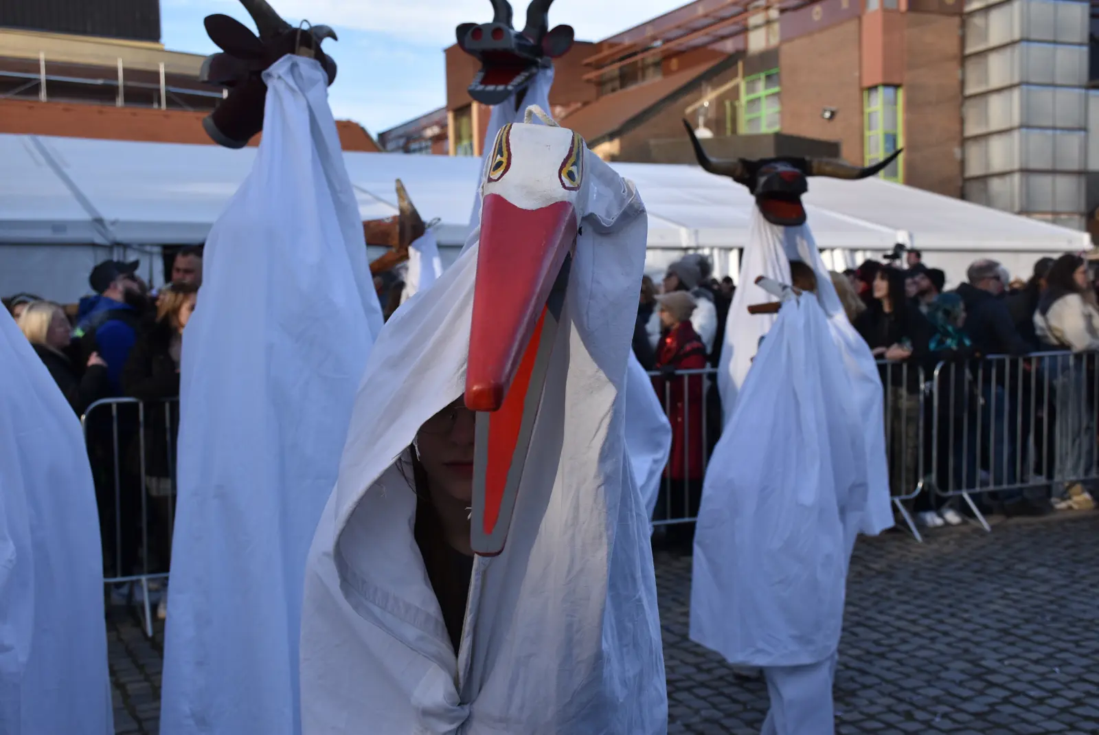 Čaplje i štrki, Podturen (9)
