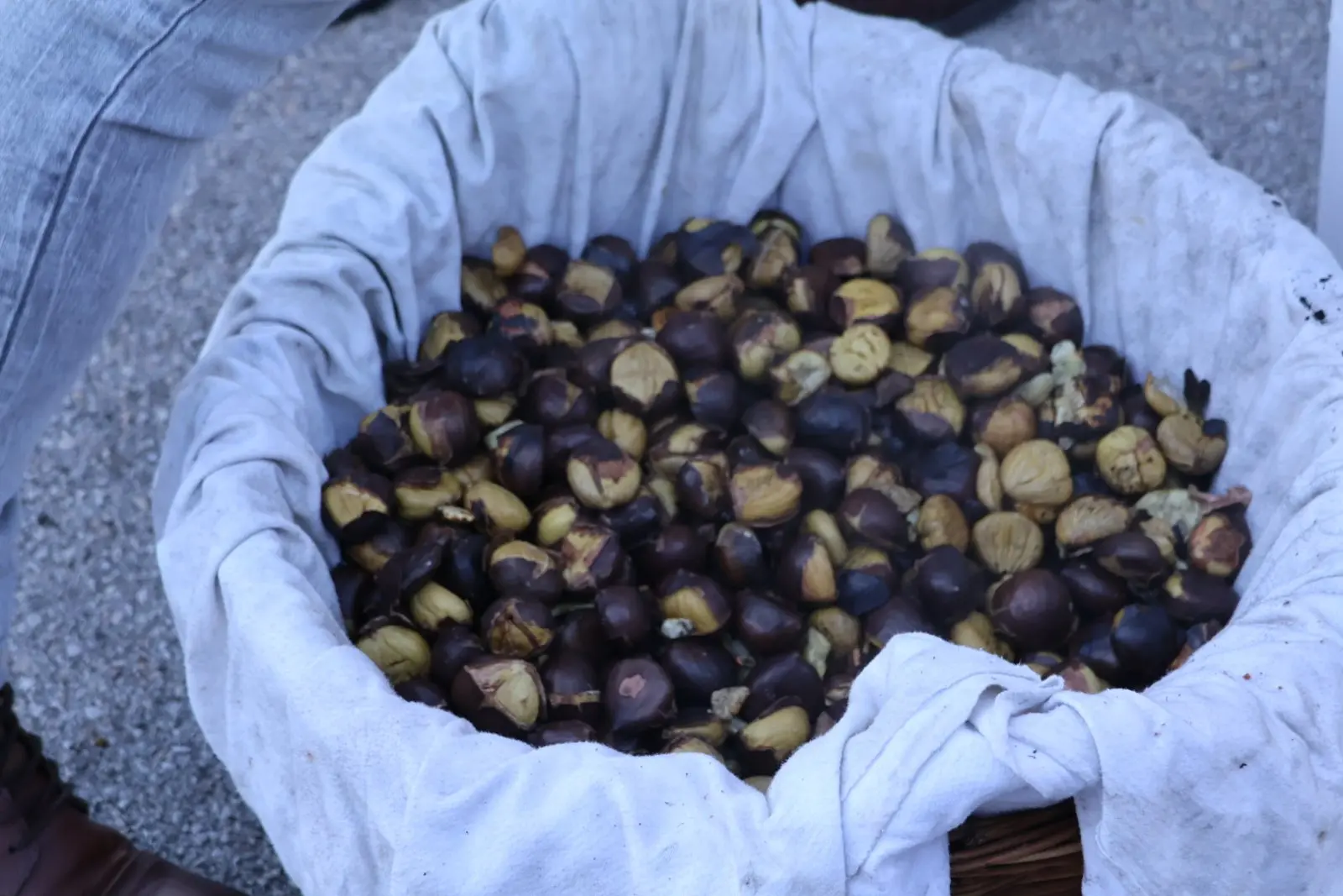 Čehovec, Dan mjesta 2025 (5)