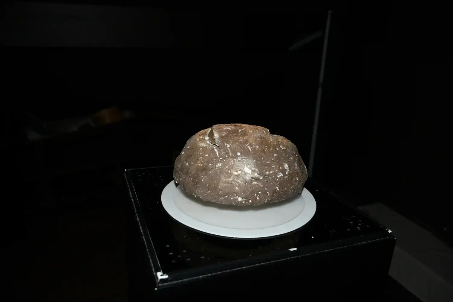 Centar za posjetitelje Mlin na Muri 2025 Noć muzeja (19) Centar za posjetitelje Mlin na Muri 2025 Noć muzeja (19)