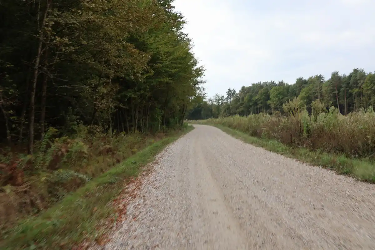 Cesta-Gornja-Dubrava-1 Cesta-Gornja-Dubrava-1