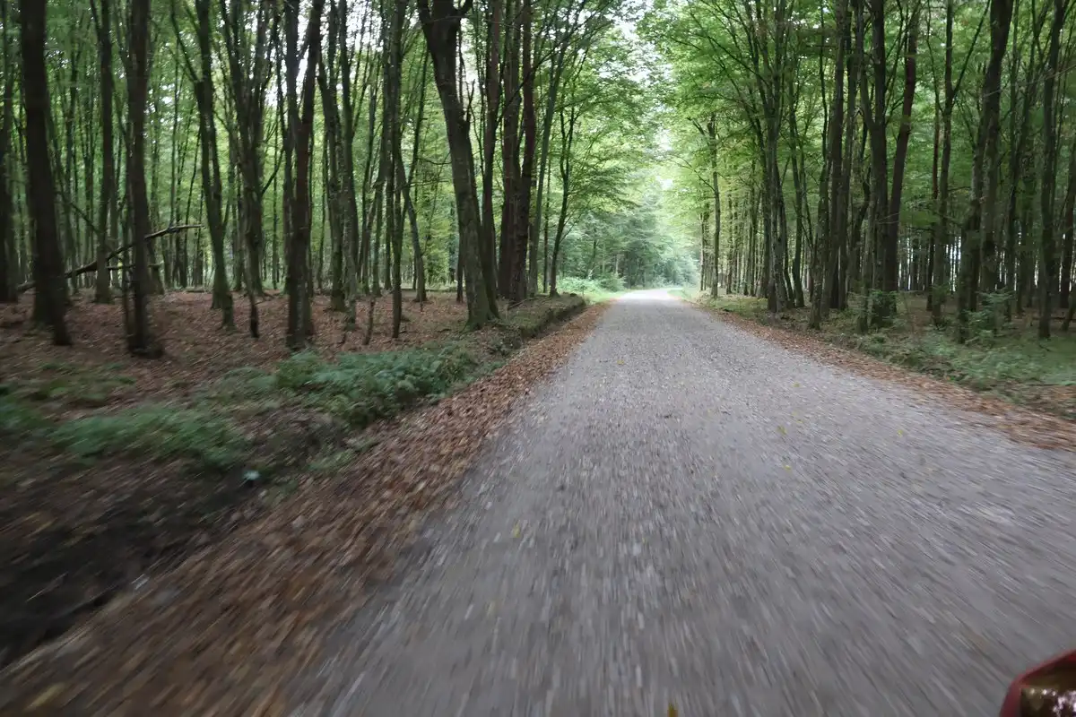 Cesta-Gornja-Dubrava-2 Cesta-Gornja-Dubrava-2