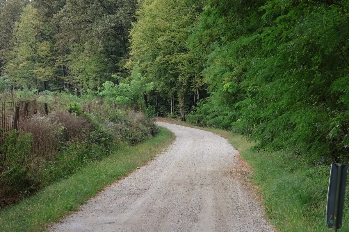 Cesta-Gornja-Dubrava-4 Cesta-Gornja-Dubrava-4