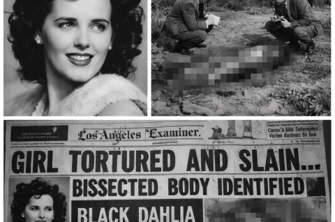 ChatGPT Image Jan 15, 2026, 09_44_39 PM