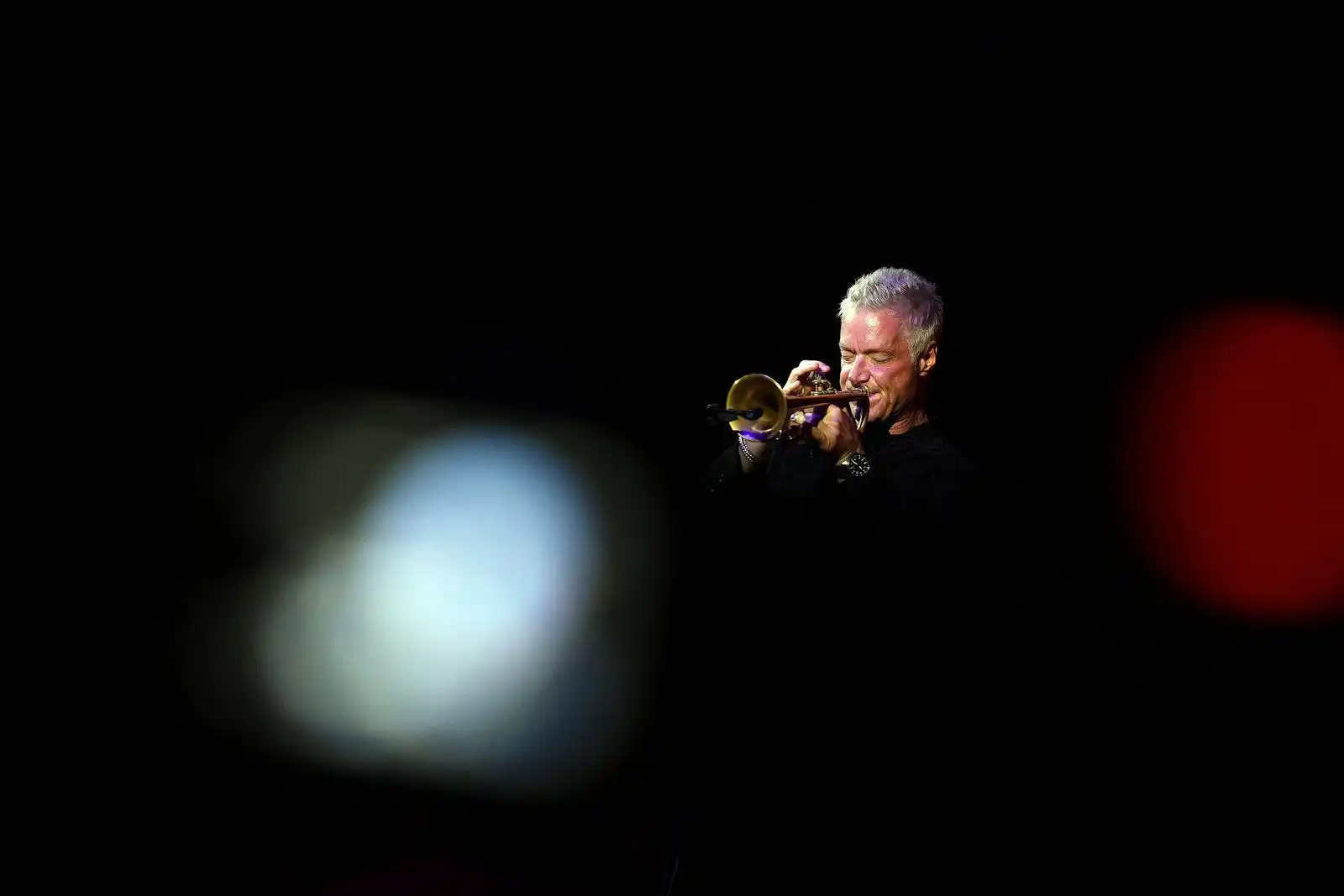 Chris Botti (1)